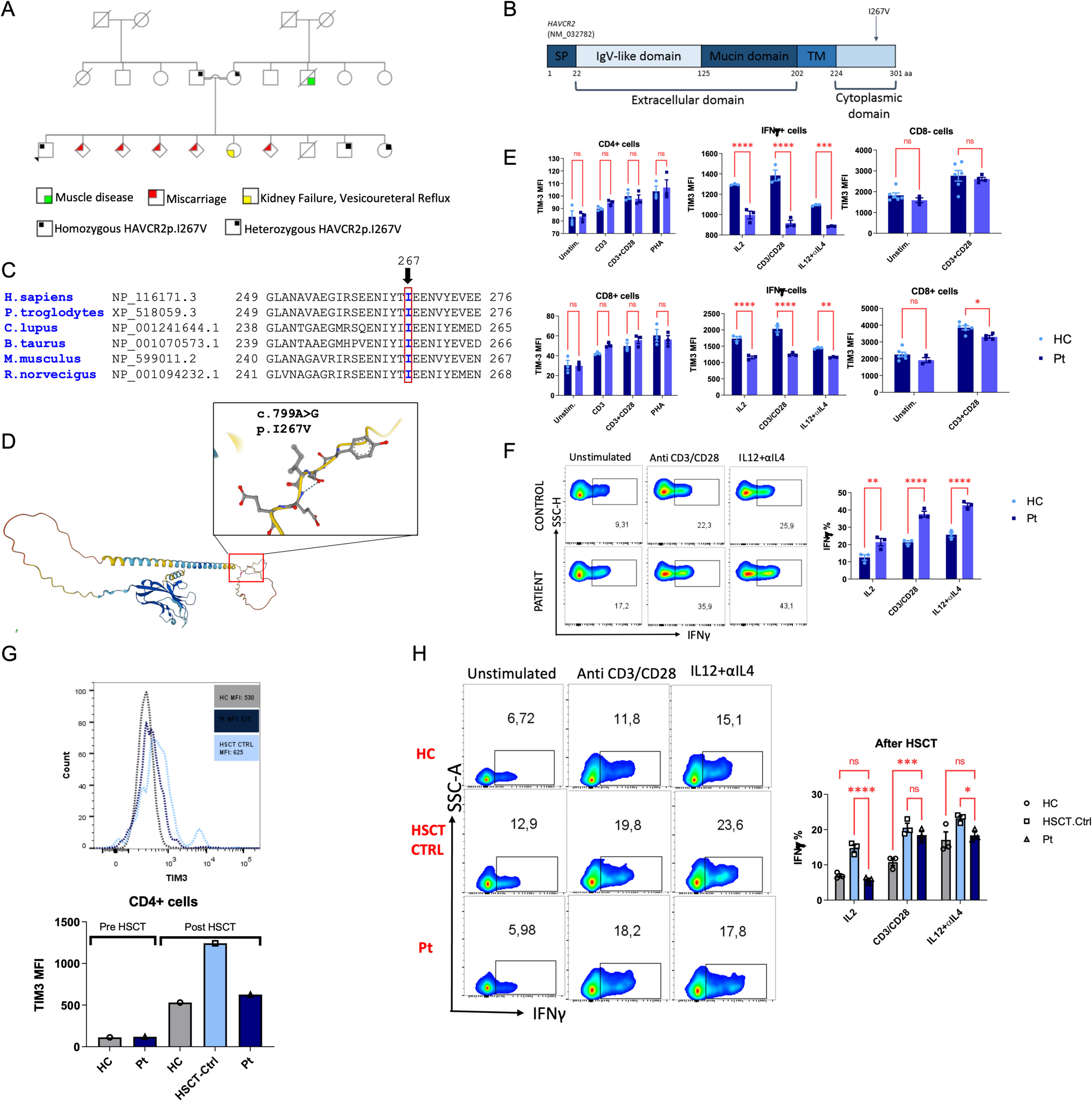A novel loss of function mutation in the  gene in a patient diagnosed with Hodgkin’s lymphoma