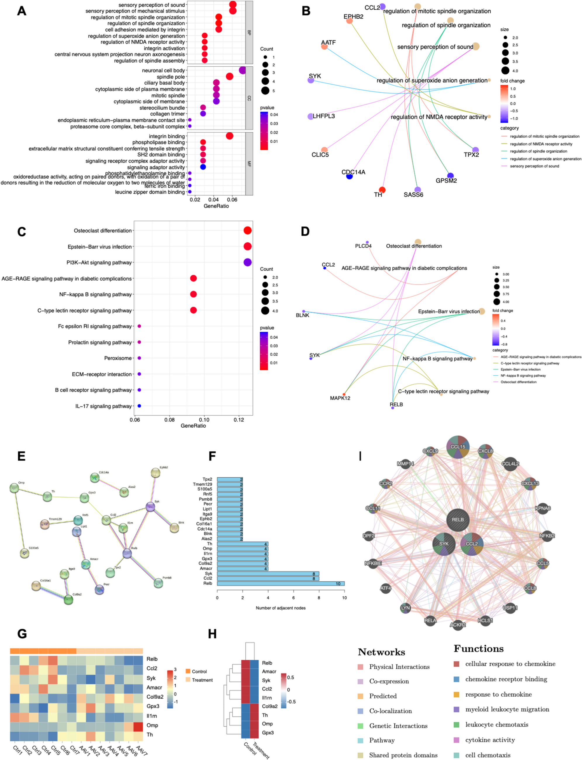 A comprehensive analysis of scRNA-Seq and RNA-Seq unveils B cell immune suppression in the AAV-loaded brain