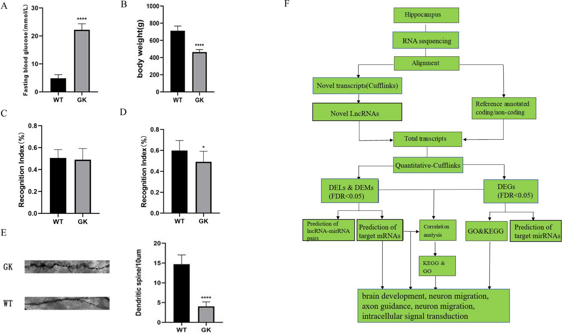 MiR-18a-LncRNA NONRATG-022419 pairs targeted PRG-1 regulates diabetic induced cognitive impairment by regulating NGF\BDNF-Trkb signaling pathway