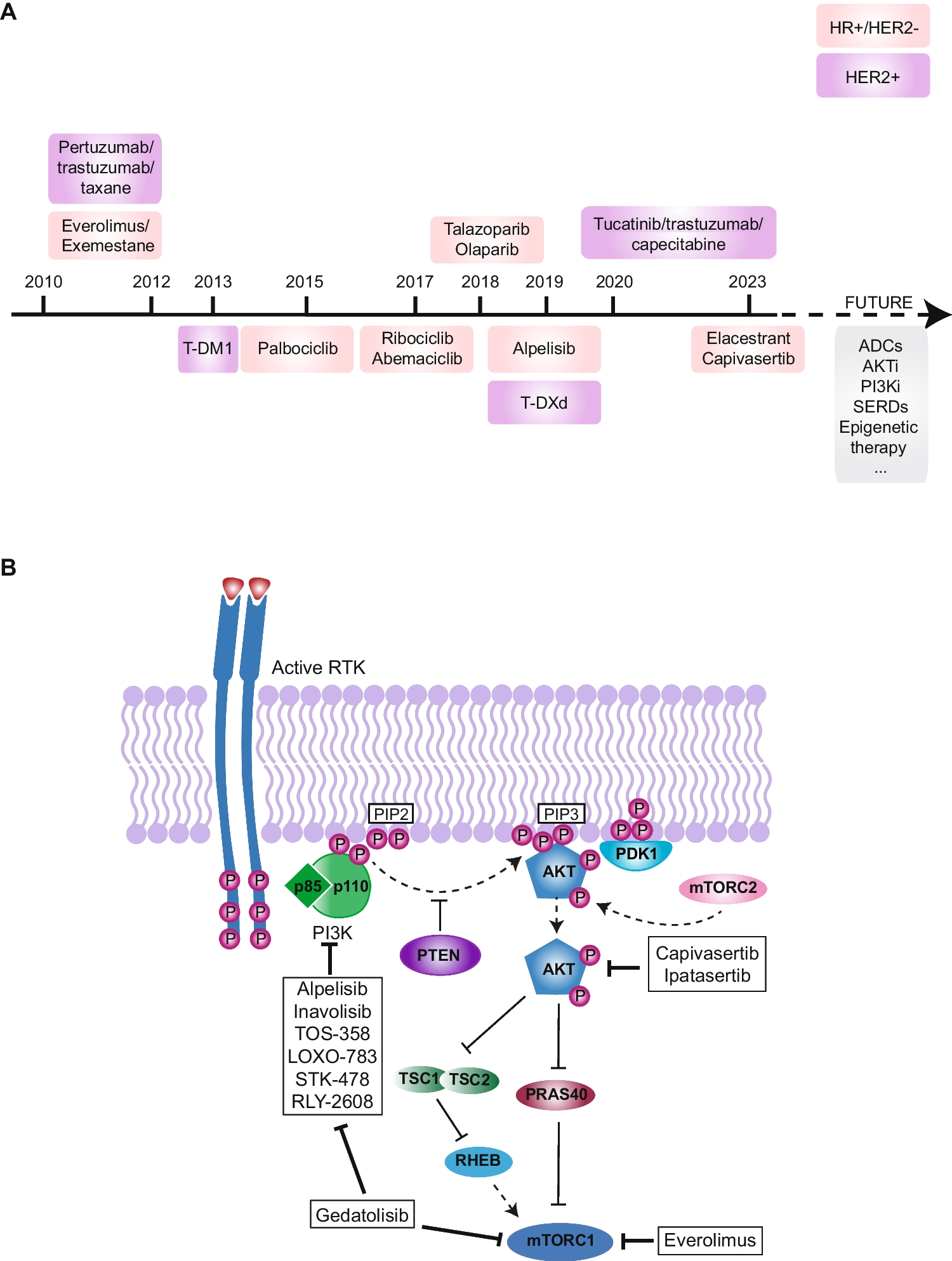 Epigenetic Therapy in Hormone Positive Breast Cancer: The Role of PIK3CA