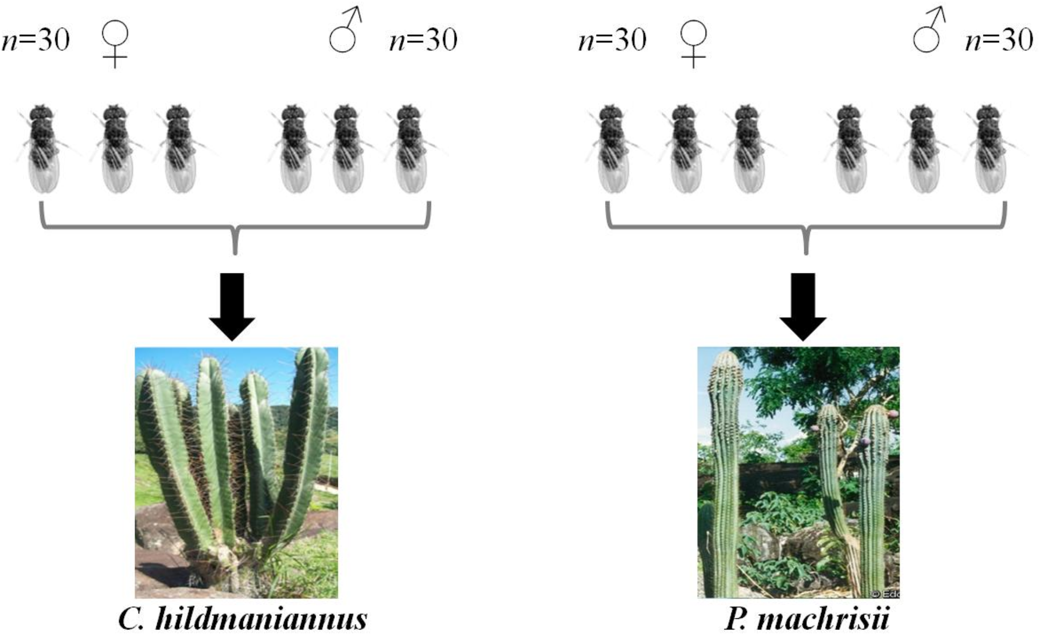 Differential DNA methylation in response to host environment changes in