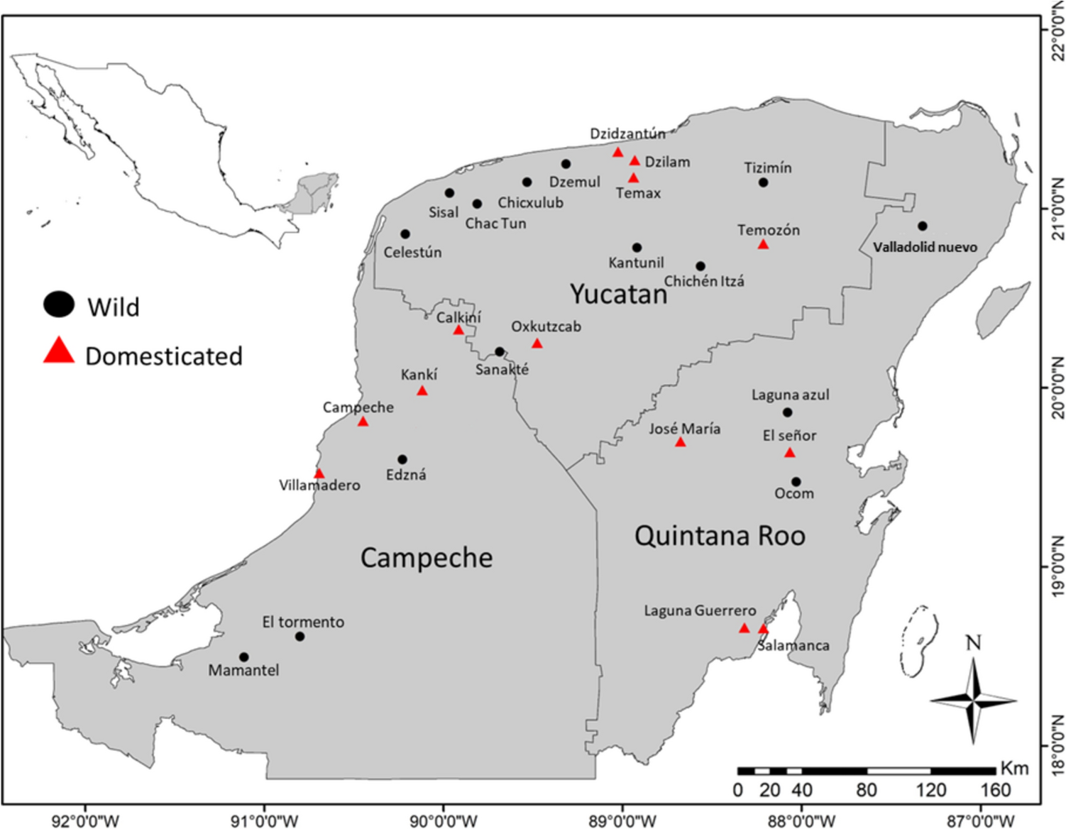 Effects of domesticated-to-wild gene flow on the genetic structure and diversity of wild papaya ( L.) in its Mesoamerican diversity area