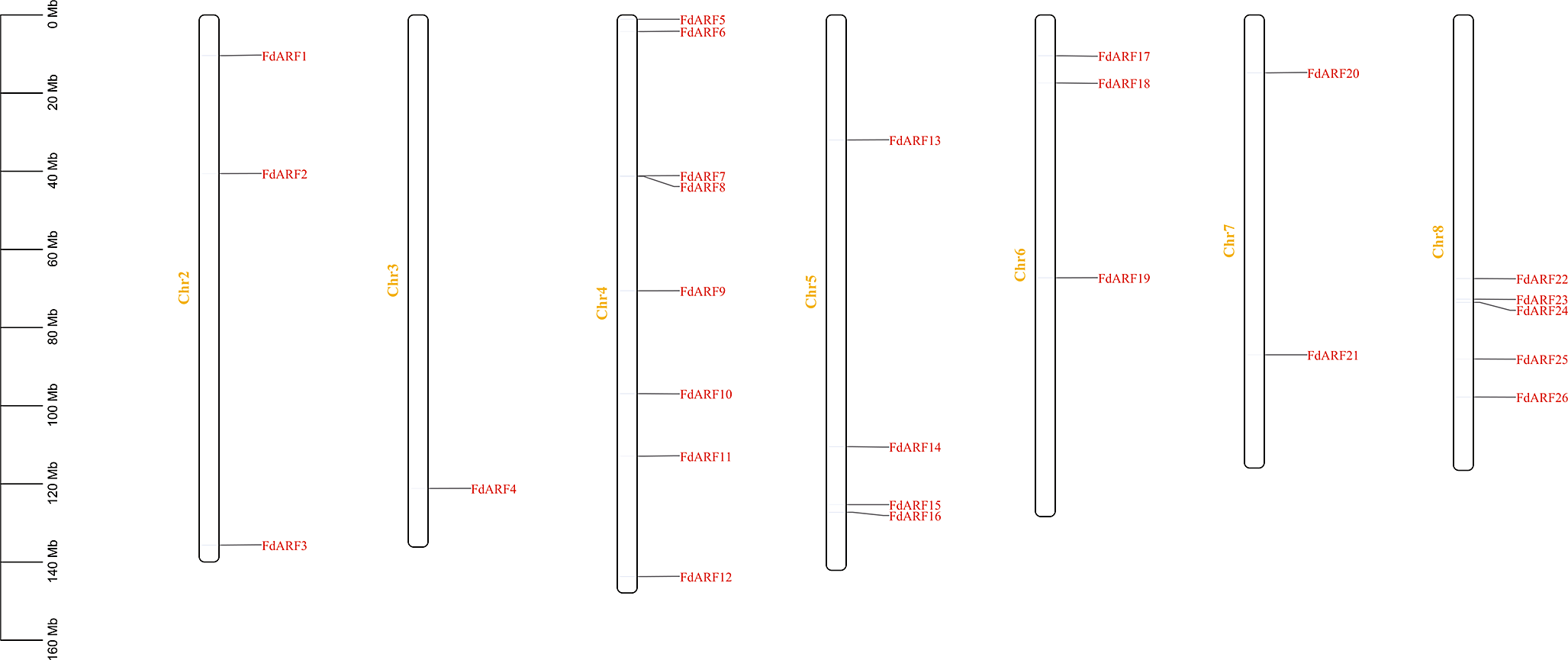 Systematic analysis of the  gene family in  and its potential roles in stress tolerance