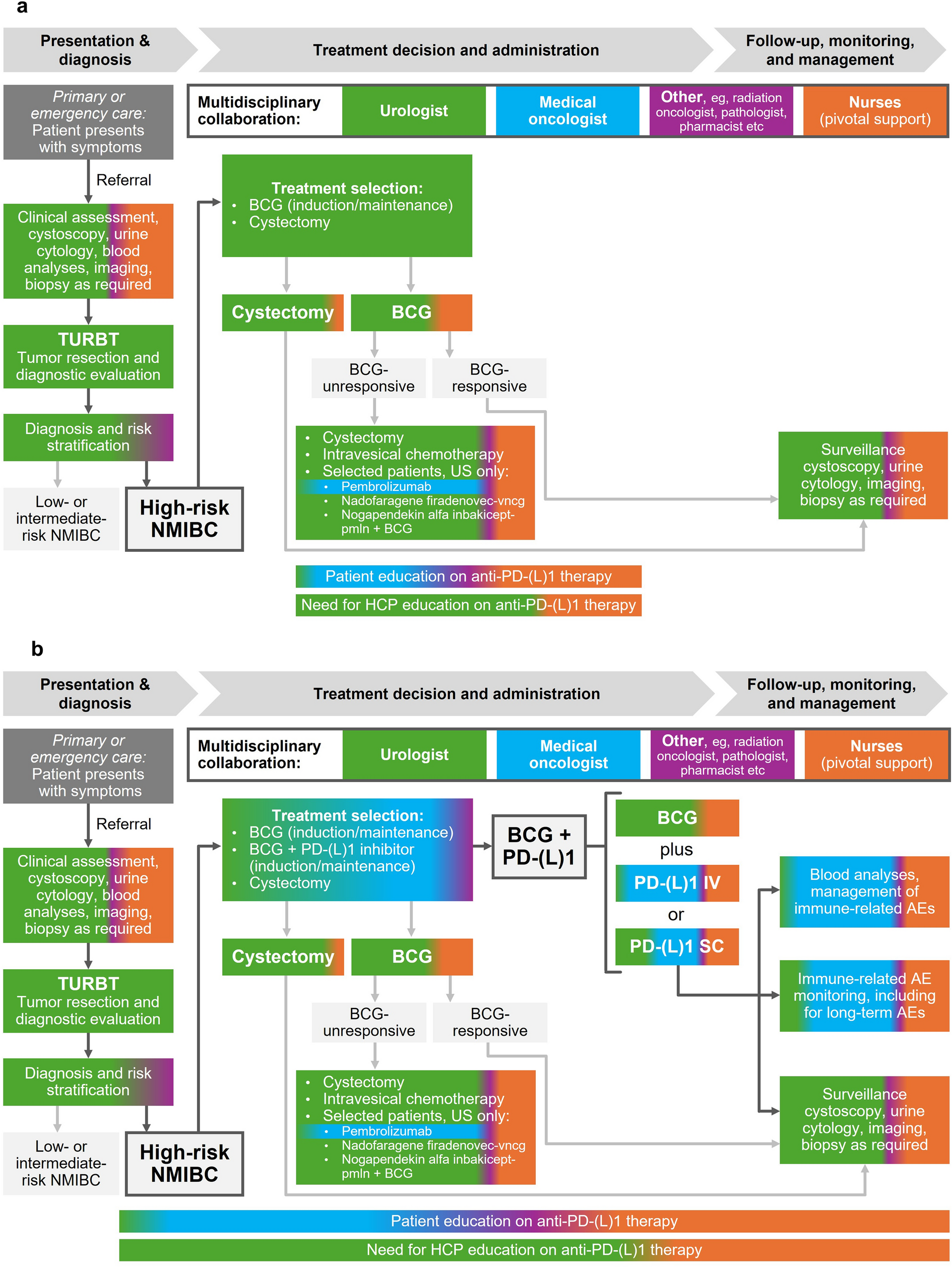 On the Horizon: A Global Multidisciplinary Perspective on Delivering Emerging Therapies for Patients with BCG-Naïve High-Risk NMIBC