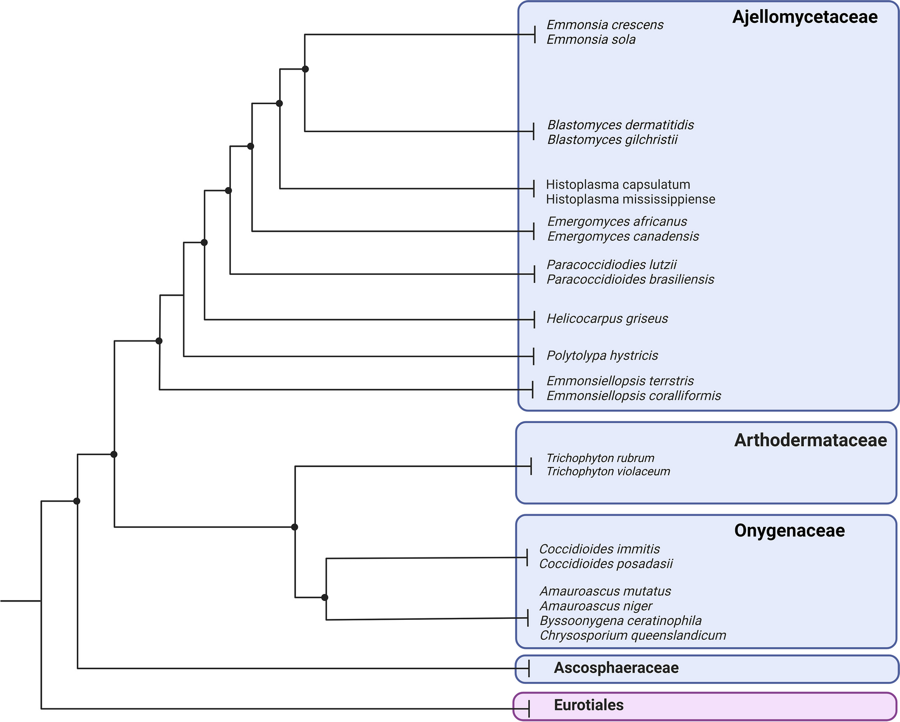 The Ecology of Pathogenic Onygenales Fungi and the Impacts of Climate Change