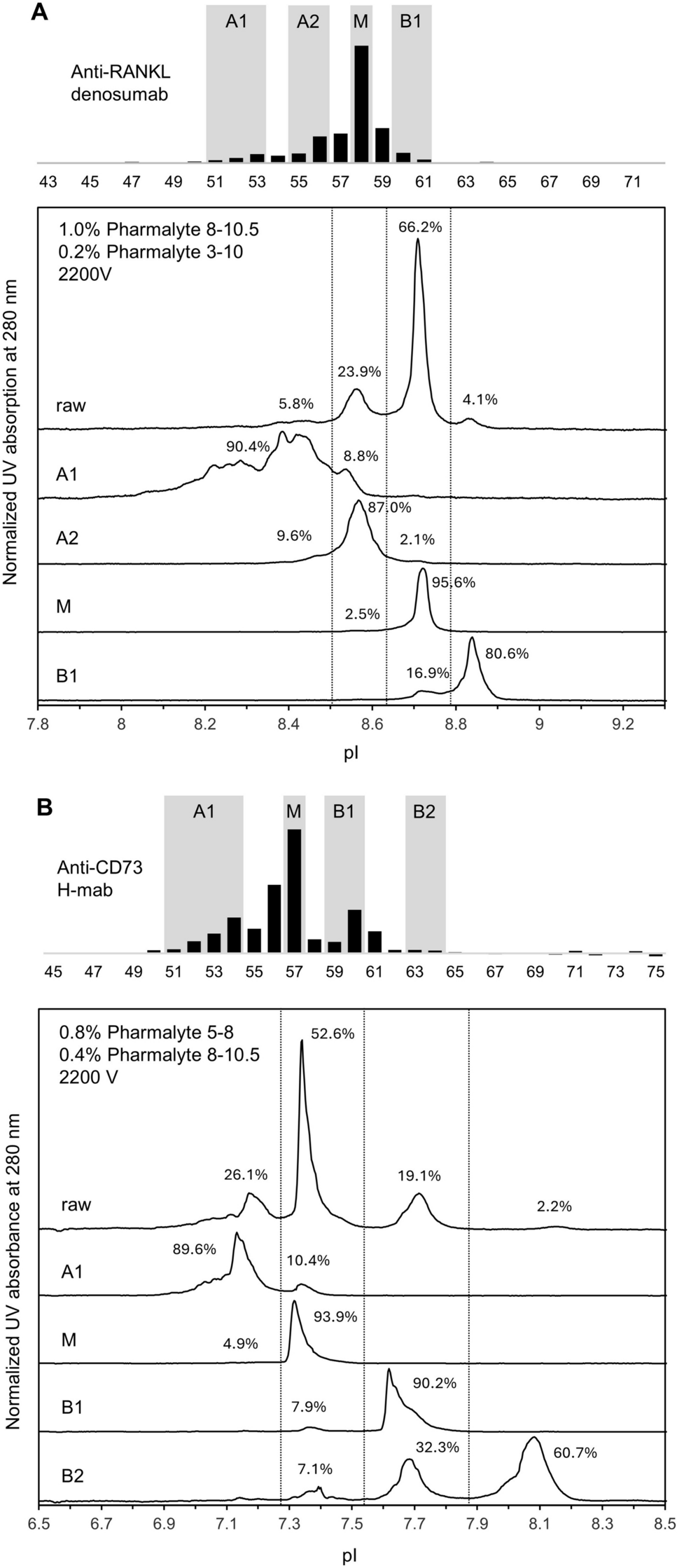 Interrogation of Structure–Activity Relationships in Charge Variants of Therapeutic IgG2s Enabled by Free-Flow Isoelectric Focusing Fractionation