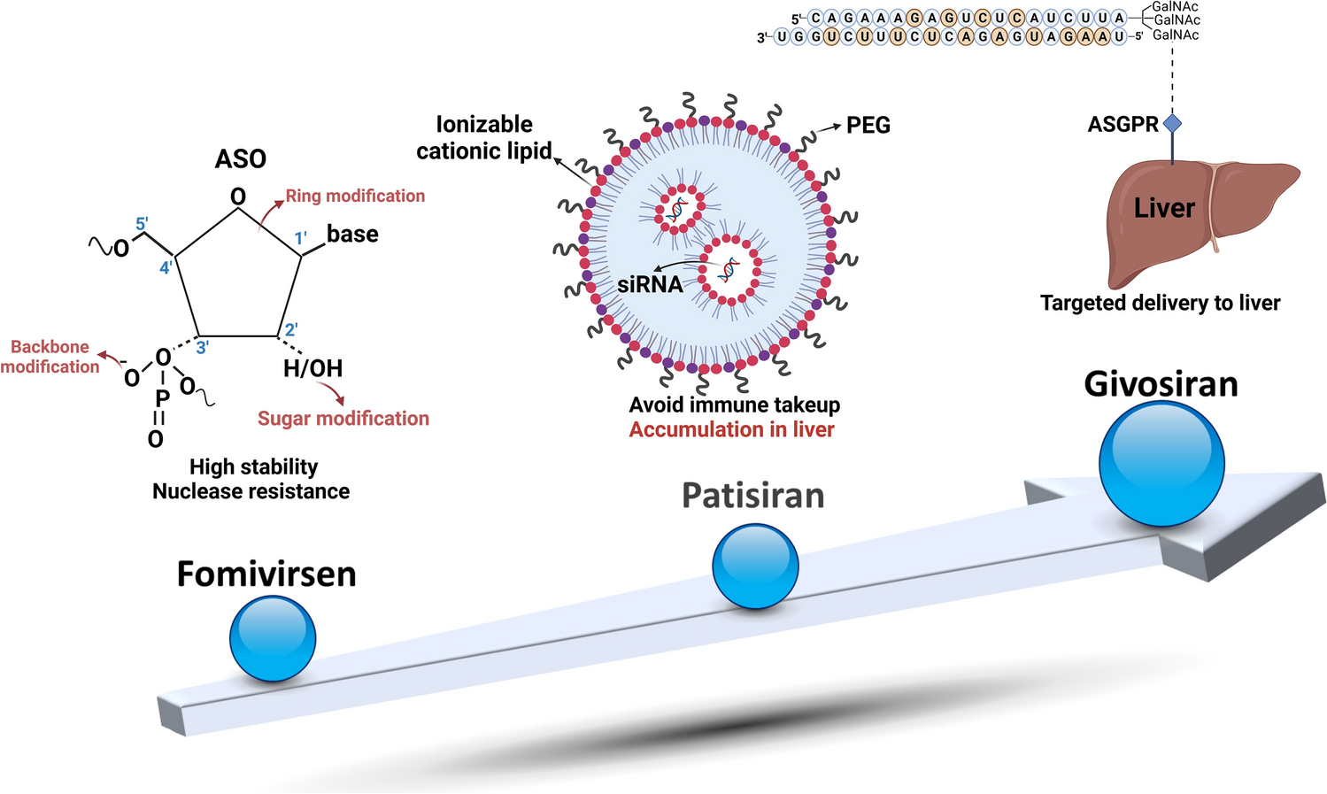 The Fomivirsen, Patisiran, and Givosiran Odyssey: How the Success Stories May Pave the Way for Future Clinical Translation of Nucleic Acid Drugs
