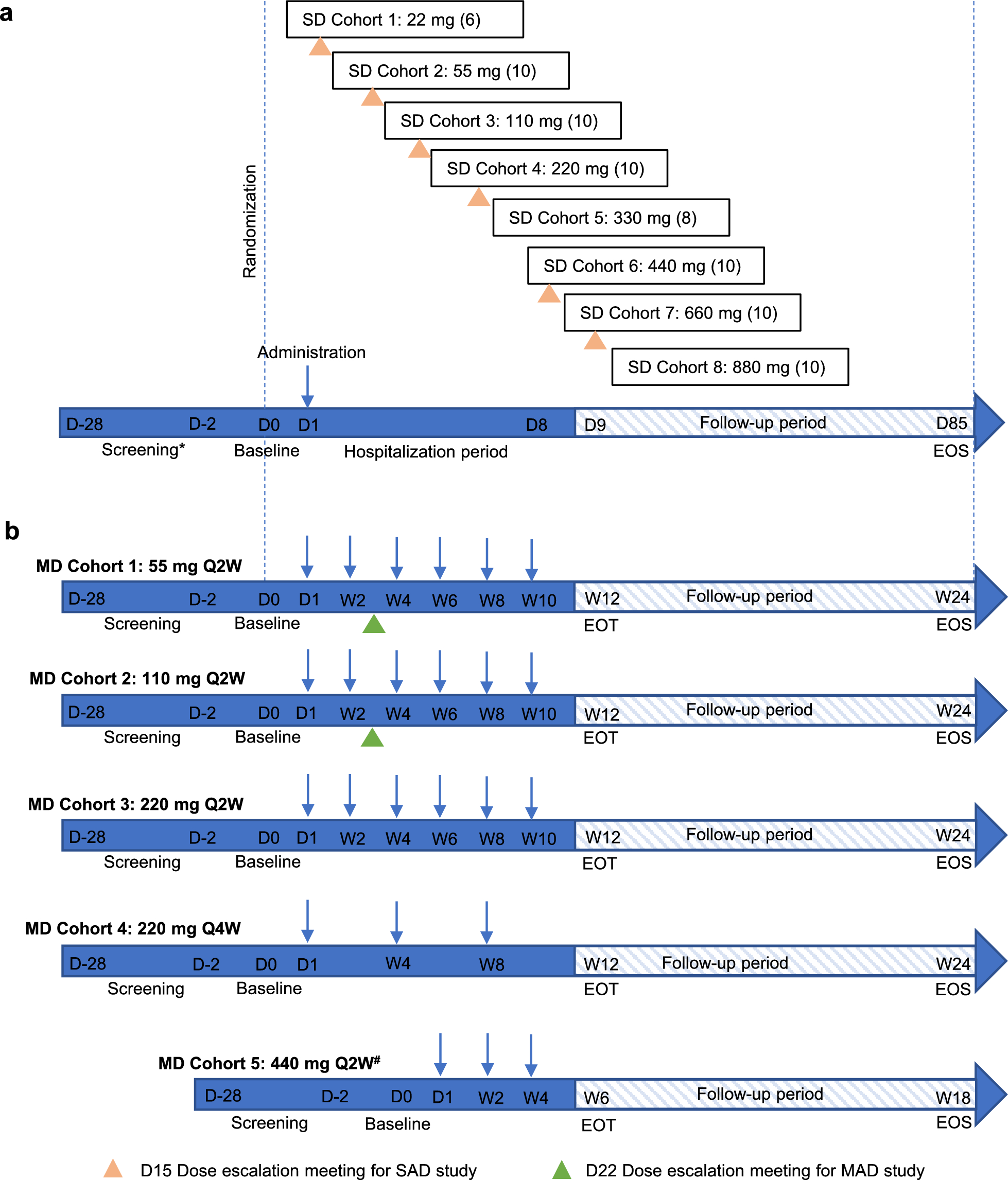 Translational Investigation of CM326 from Preclinical Studies to Randomized Phase I Clinical Trials in Healthy Adults