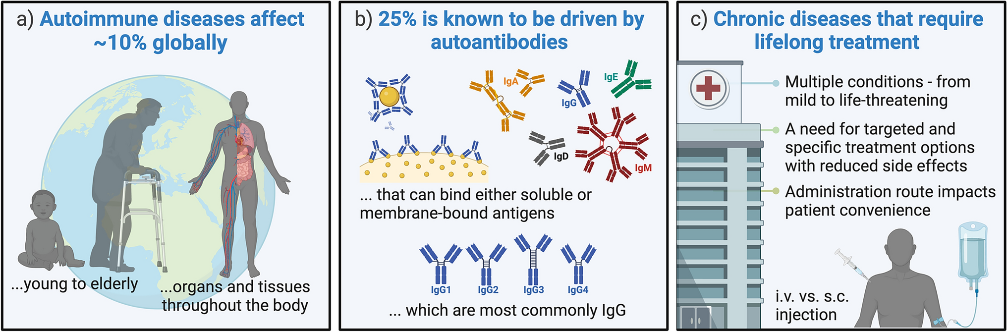 Targeting the Neonatal Fc Receptor in Autoimmune Diseases: Pipeline and Progress