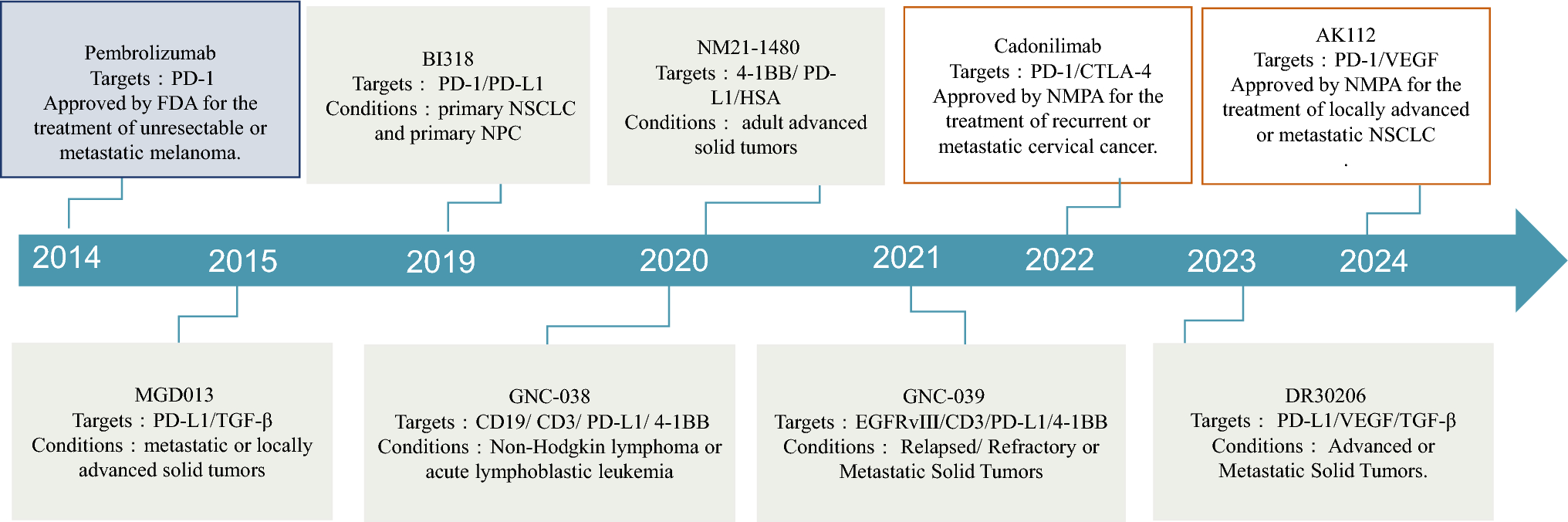 Multispecific Antibodies Targeting PD-1/PD-L1 in Cancer