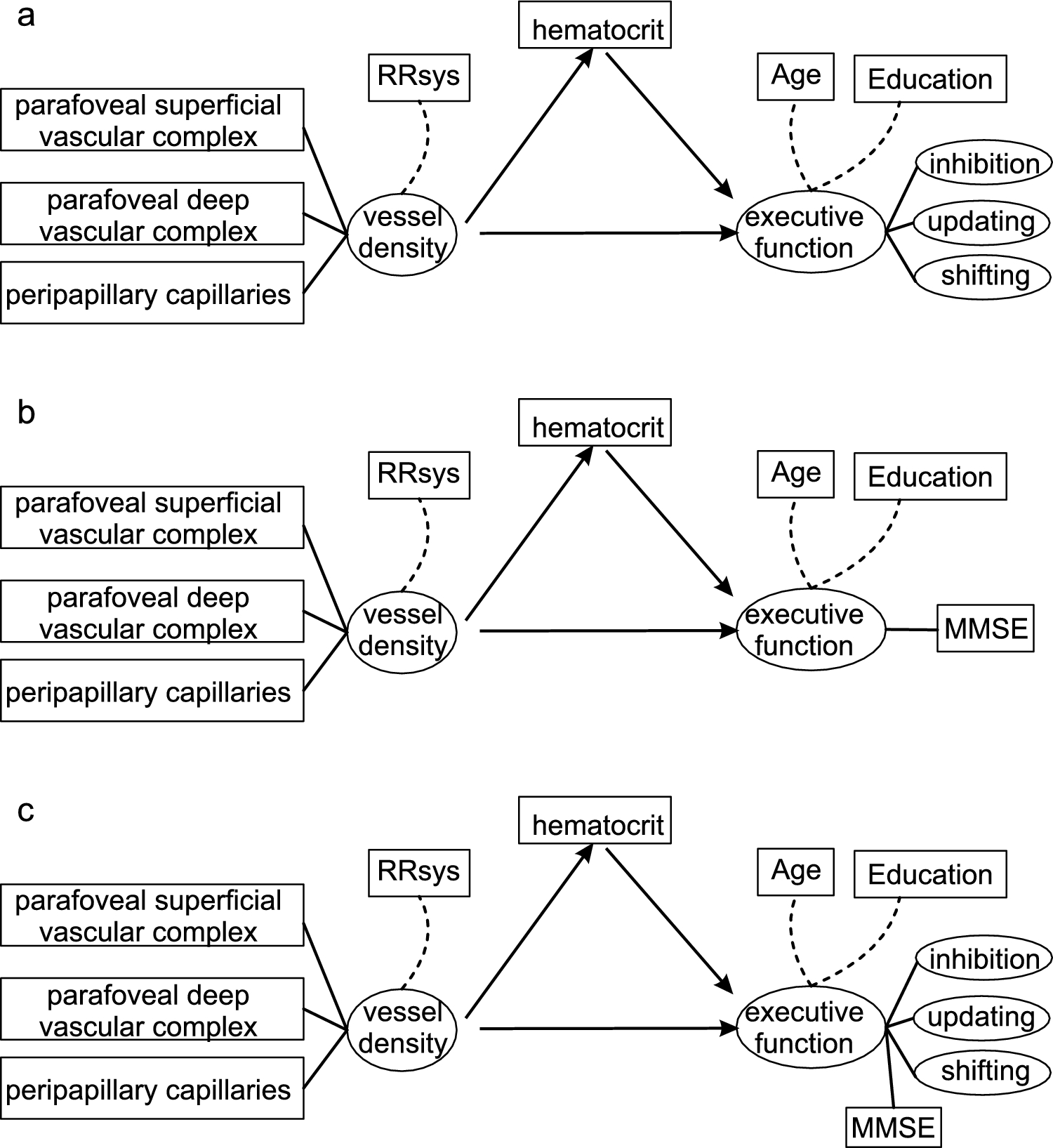 Retinal vessel density and cognitive function in healthy older adults