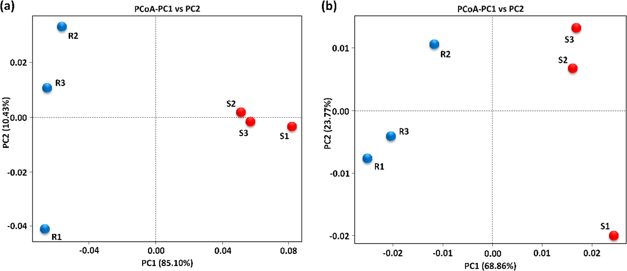 Comprehensive analysis of orthologous genes reveals functional dynamics and energy metabolism in the rhizospheric microbiome of