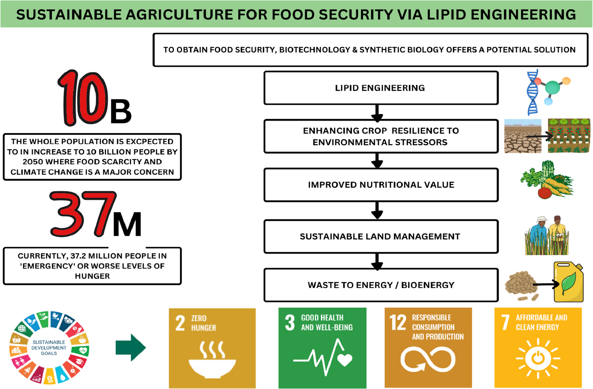 Metabolic engineering of lipids for crop resilience and nutritional improvements towards sustainable agriculture