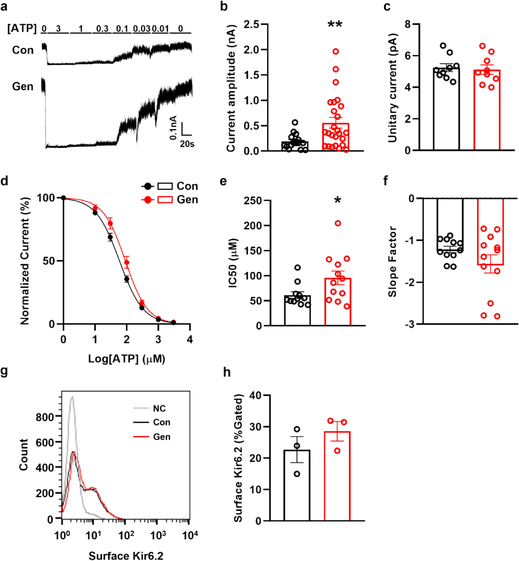 Tyrosine phosphorylation of Kir6.2 subunit negatively regulates cardiac K channel activity