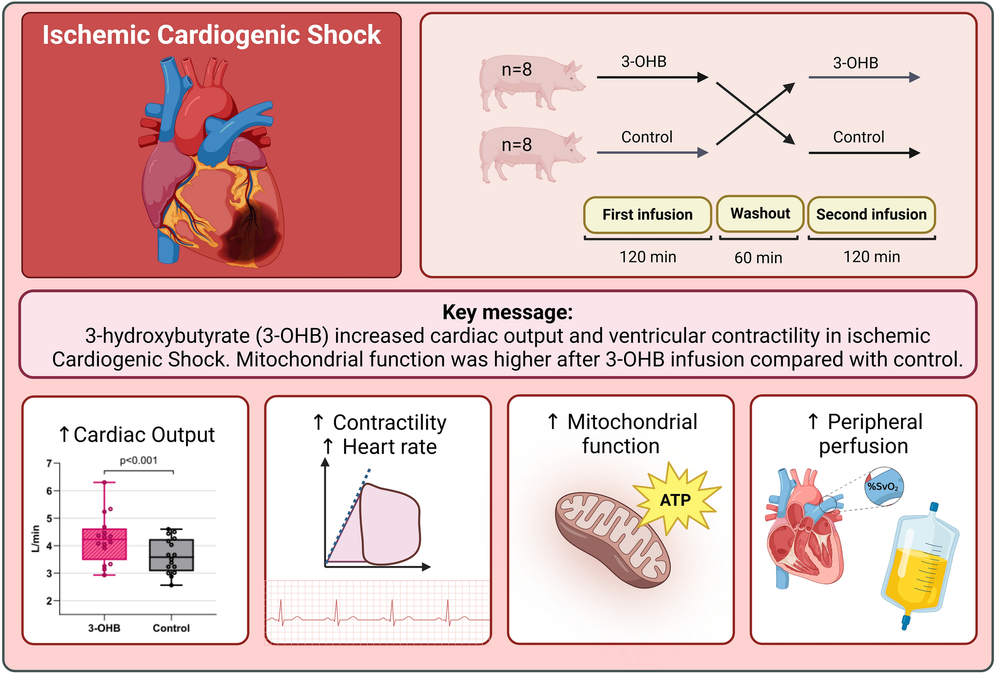 The ketone body 3-hydroxybutyrate increases cardiac output and cardiac contractility in a porcine model of cardiogenic shock: a randomized, blinded, crossover trial