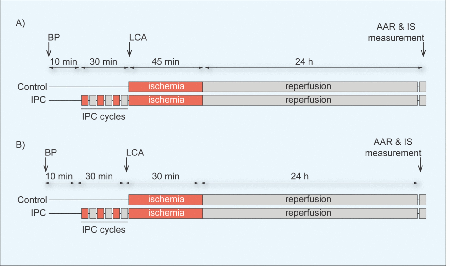 IMproving Preclinical Assessment of Cardioprotective Therapies (IMPACT): a small animal acute myocardial infarction randomized-controlled multicenter study on the effect of ischemic preconditioning