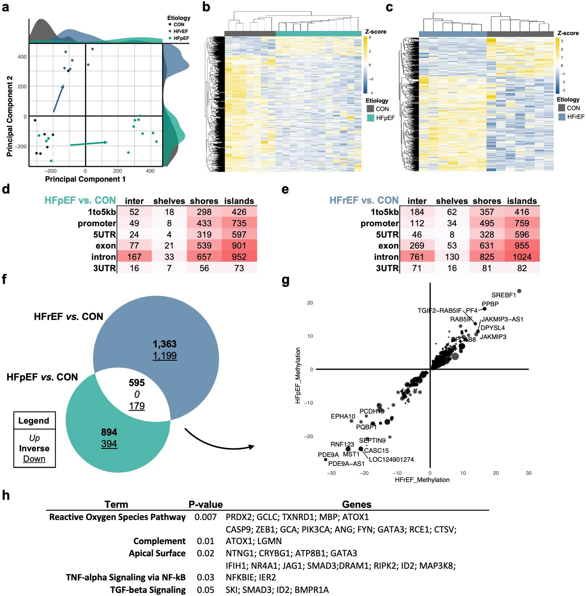 High-resolution DNA methylation changes reveal biomarkers of heart failure with preserved ejection fraction versus reduced ejection fraction