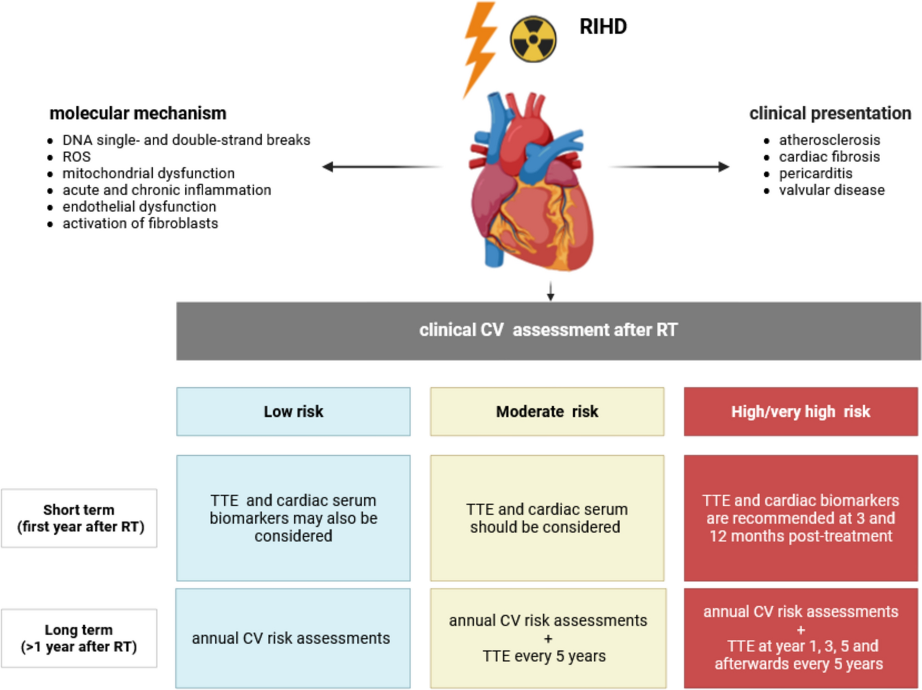 The cardio-oncologic burden of breast cancer: molecular mechanisms and importance of preclinical models