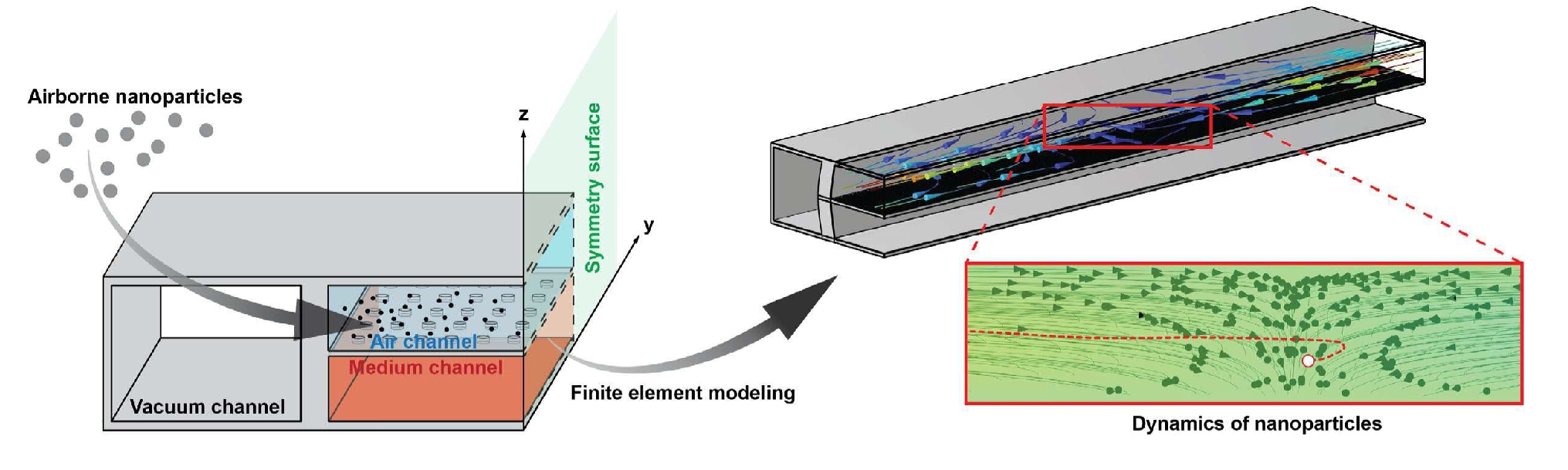 Dynamics of nanoparticles in a 3D breathing lung-on-a-chip