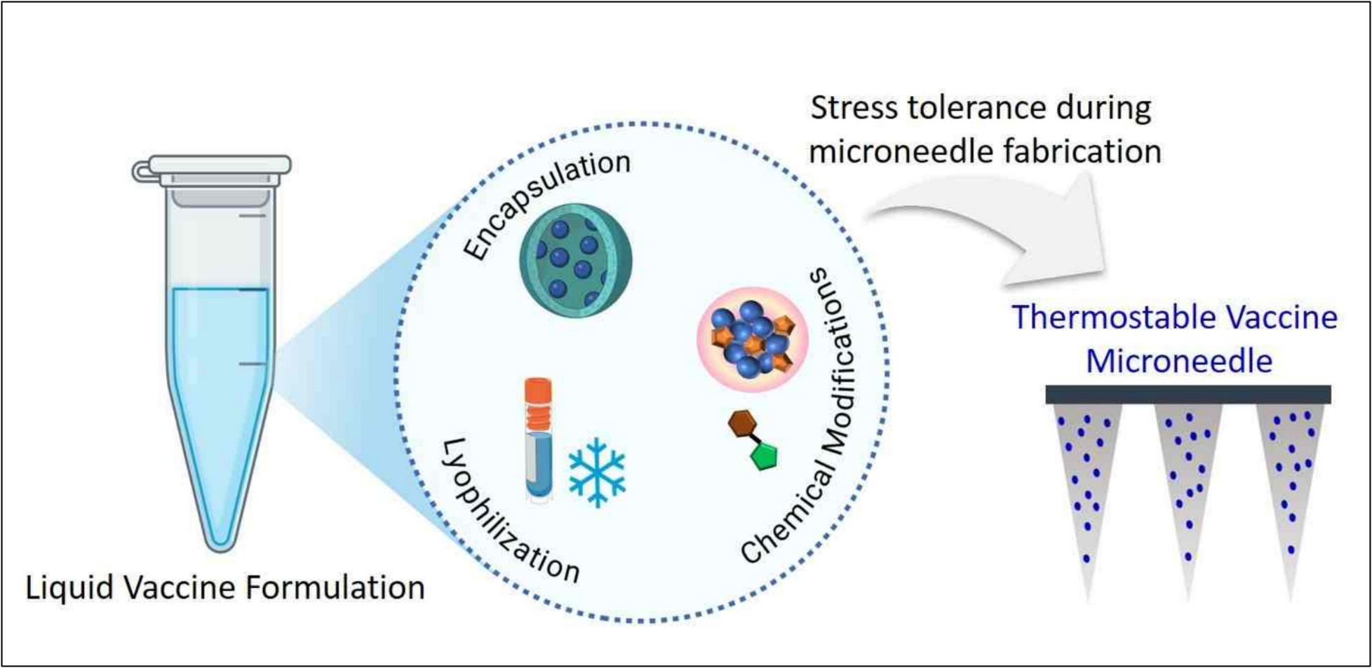 Enhancing vaccine stability in transdermal microneedle platforms