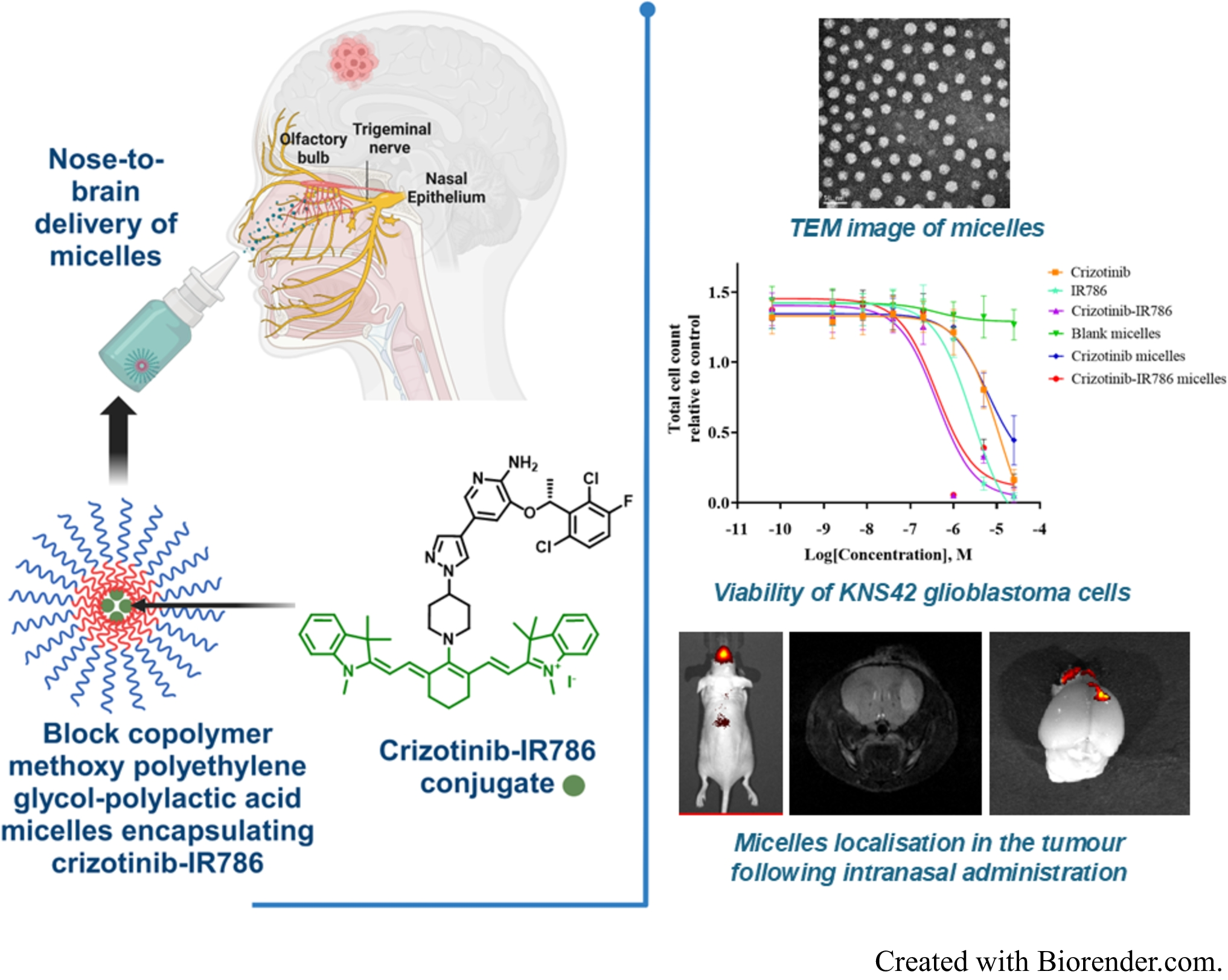 mPEG-PLA micelles for nose-to-brain delivery of crizotinib-heptamethine cyanine dye conjugate for potential treatment of glioblastoma