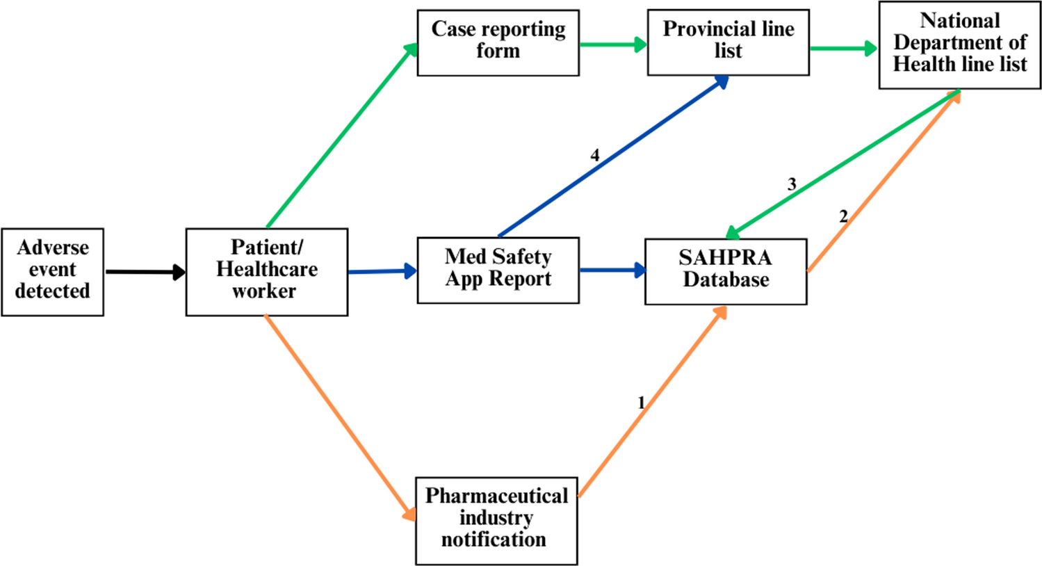 Signal Monitoring for Adverse Events Following Immunisation with COVID-19 Vaccines During the SARS-CoV-2 Pandemic: An Evaluation of the South African Surveillance System