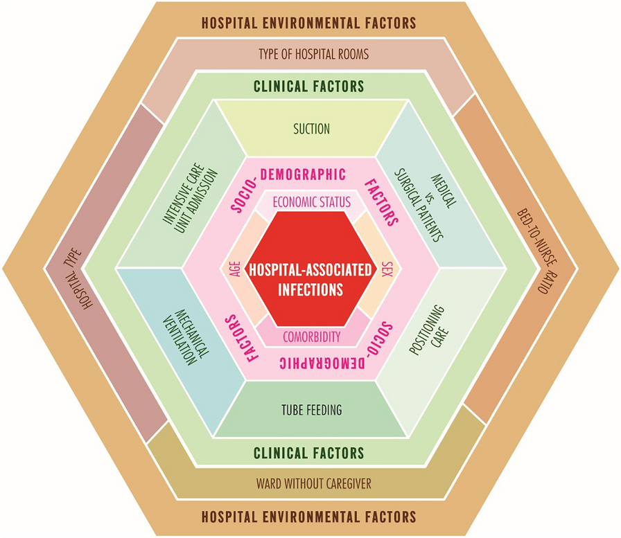 Healthcare-Associated Infections: The Role of Microbial and Environmental Factors in Infection Control—A Narrative Review