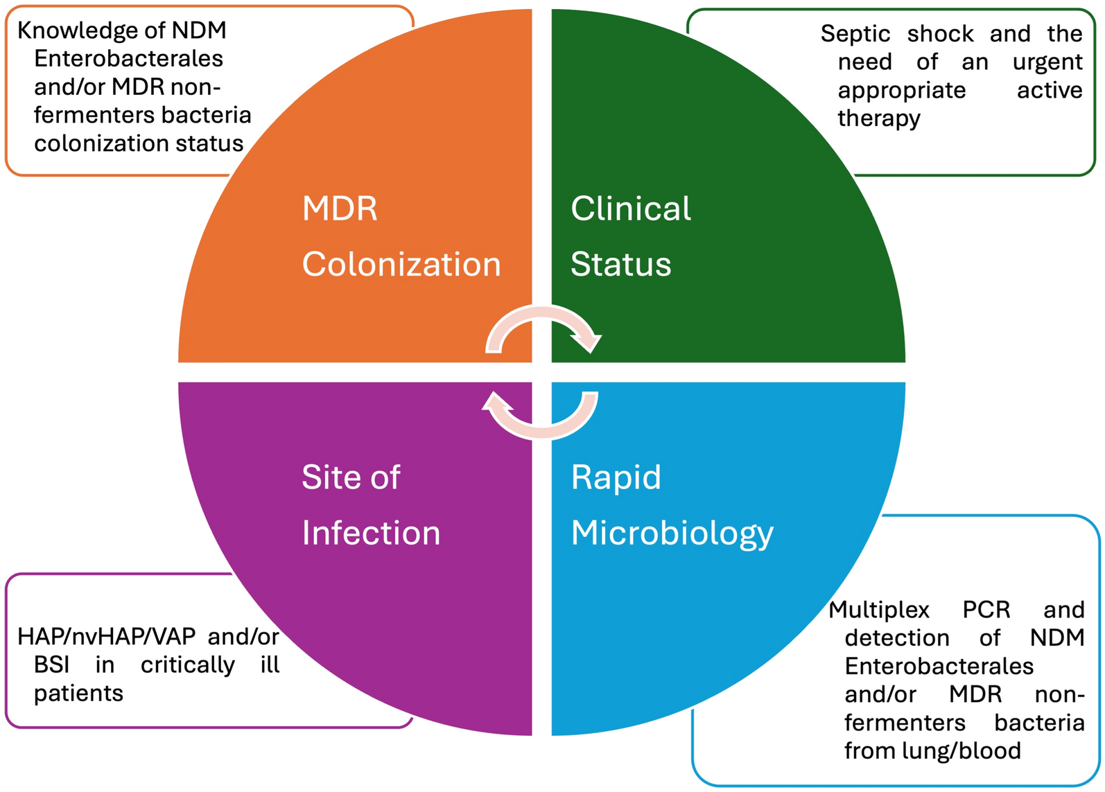 From Clinical Trials to Real-World Experiences: Evidence About Cefiderocol Use and Potential Role in Empirical Therapy