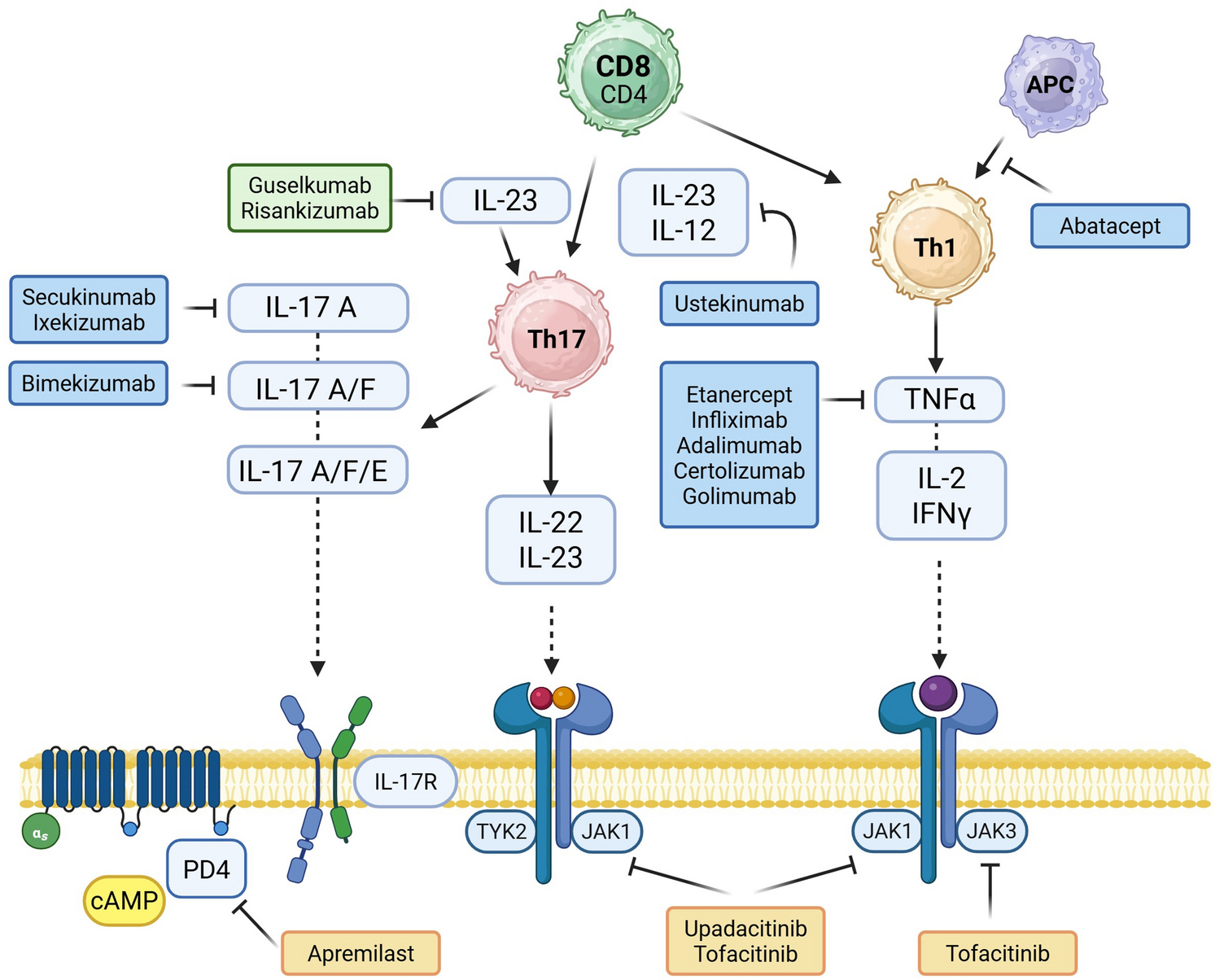 Navigating Psoriatic Arthritis: Treatment Pathways and Patient-Specific Strategies for Improved Outcomes
