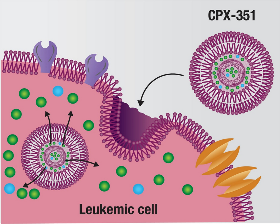 The Role of CPX-351 in the Acute Myeloid Leukemia Treatment Landscape: Mechanism of Action, Efficacy, and Safety