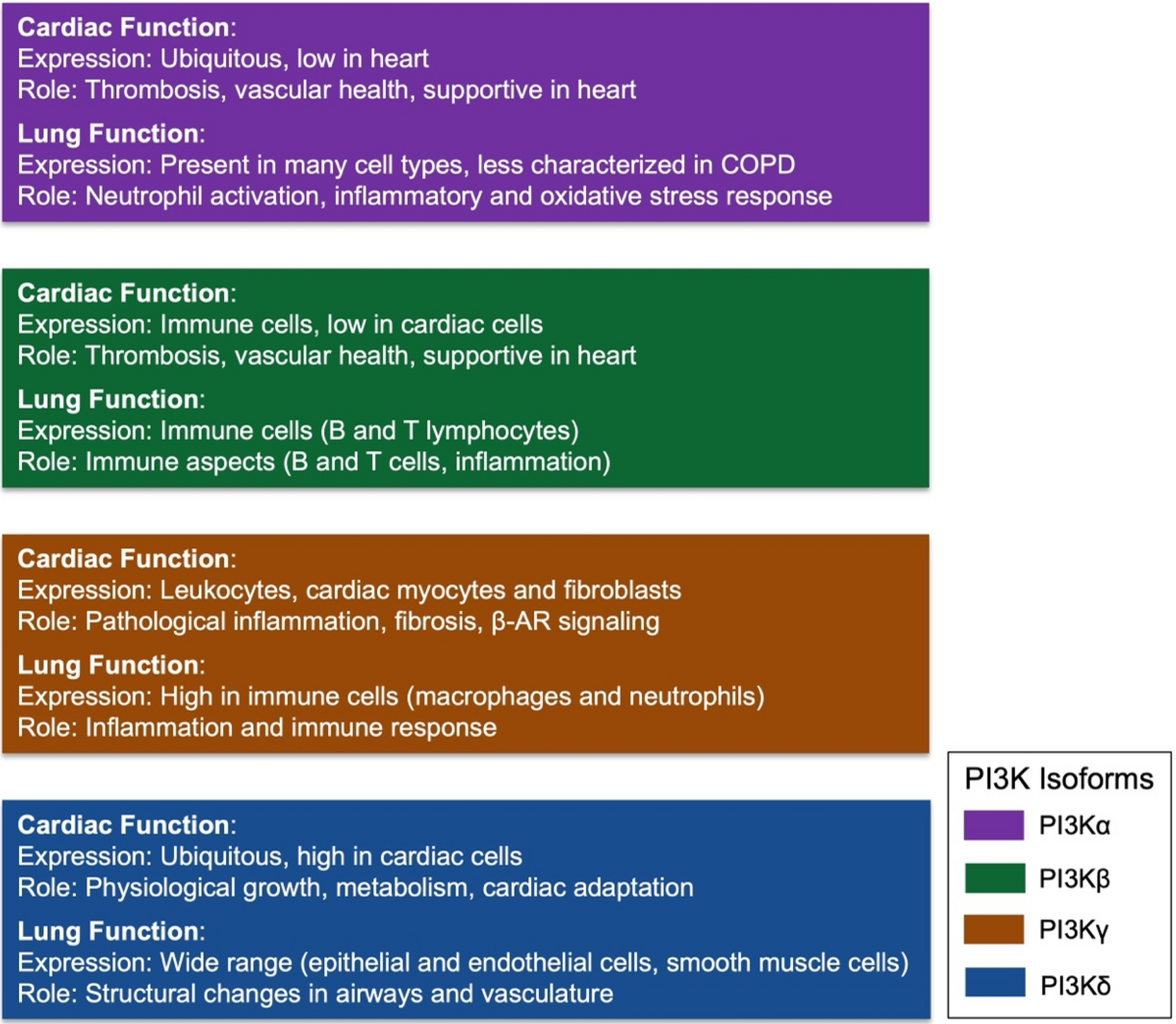 PI3K Inhibitors as Potential Therapeutic Agents for the Treatment of COPD with Associated Atherosclerosis