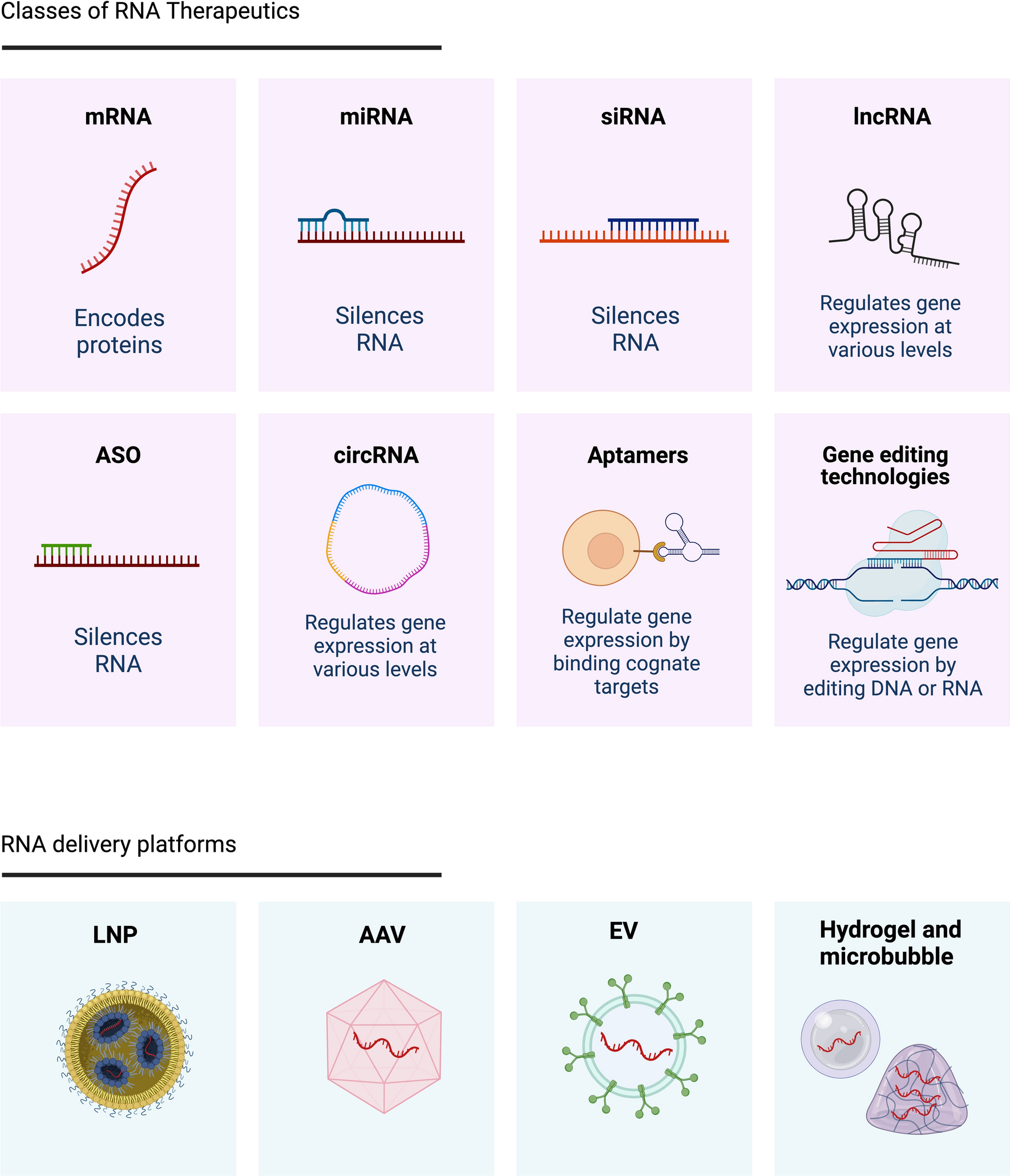 The Potential of RNA Therapeutics in Treating Cardiovascular Disease
