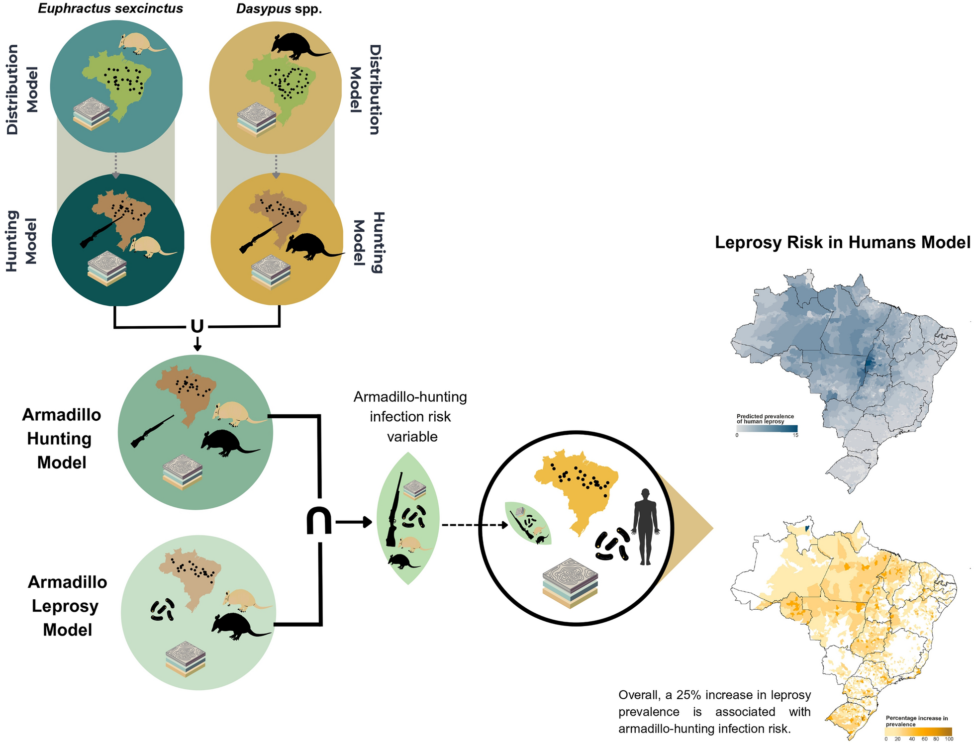 Wildlife hunting and the increased risk of leprosy transmission in the tropical Americas: a pathogeographical study