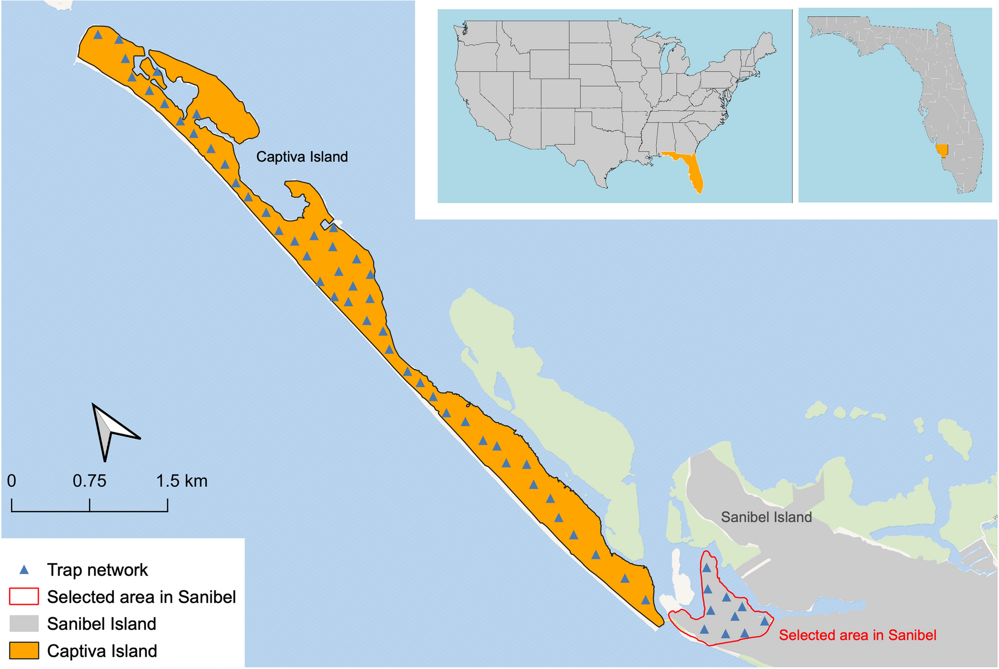 Overview of the sterile insect technique for Aedes aegypti in Lee County, Florida, USA