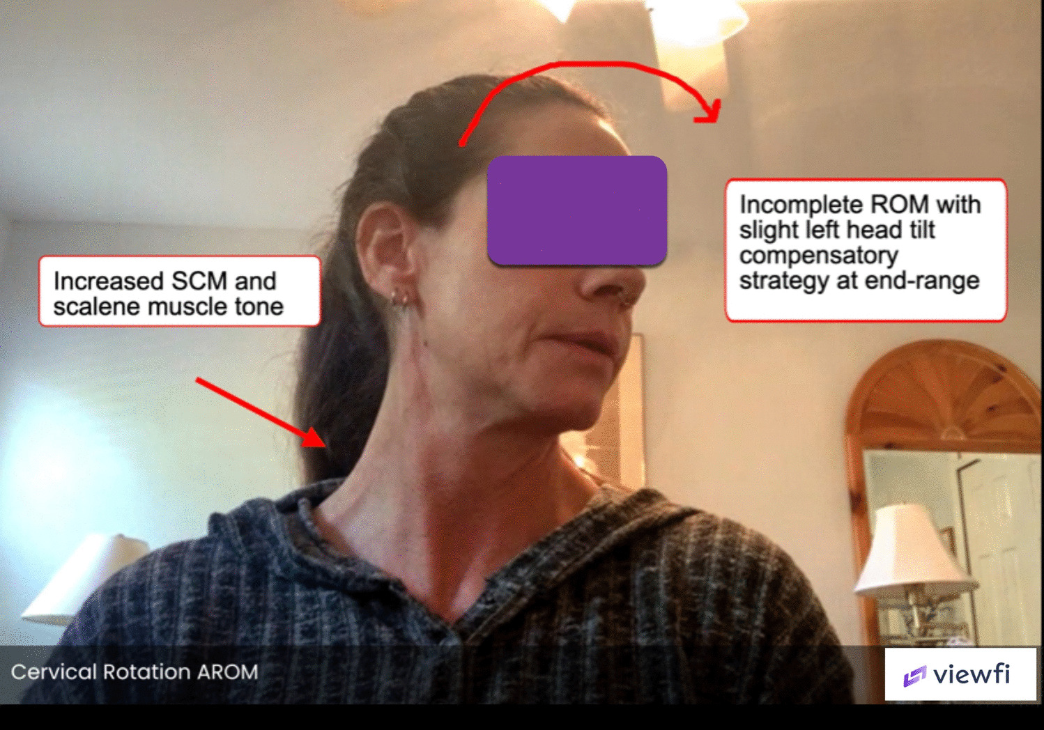 The Role of Virtual Physical Therapy in the Management of Musculoskeletal Patients: Current Practices and Future Implications