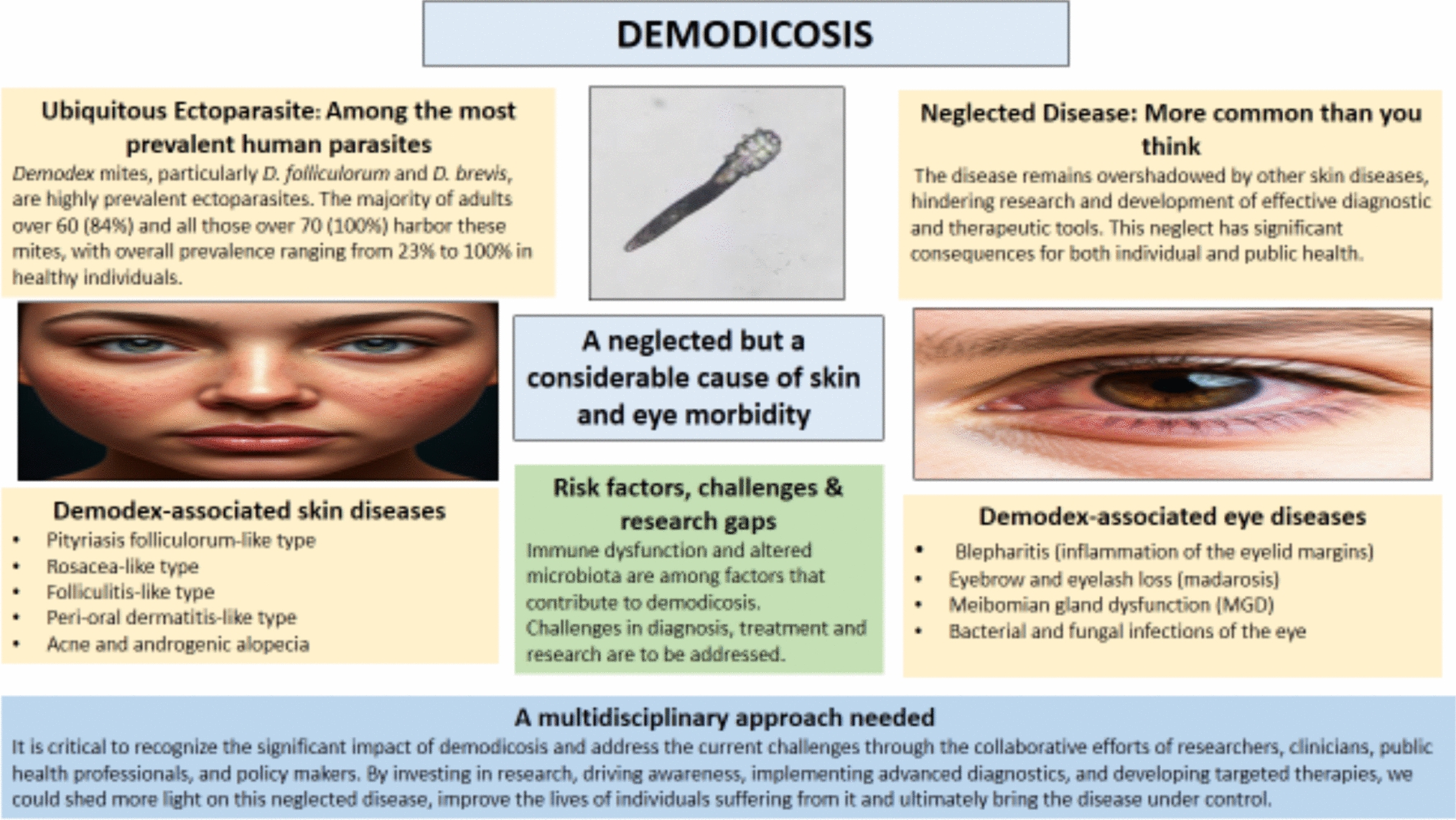 Raising awareness of : a neglected cause of skin disease