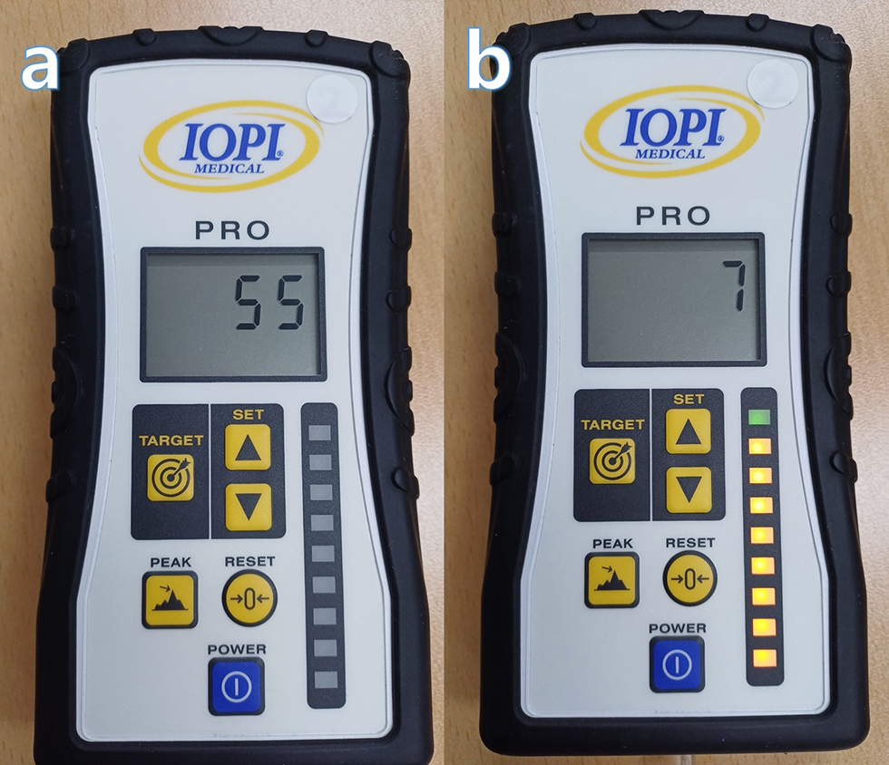 Effect of Visual Biofeedback Using the Iowa Oral Performance Instrument and Auditory Feedback on Floor-of-the-Mouth Muscle Activation and Oral Pressure During Effortful Swallowing in Healthy Older Adults