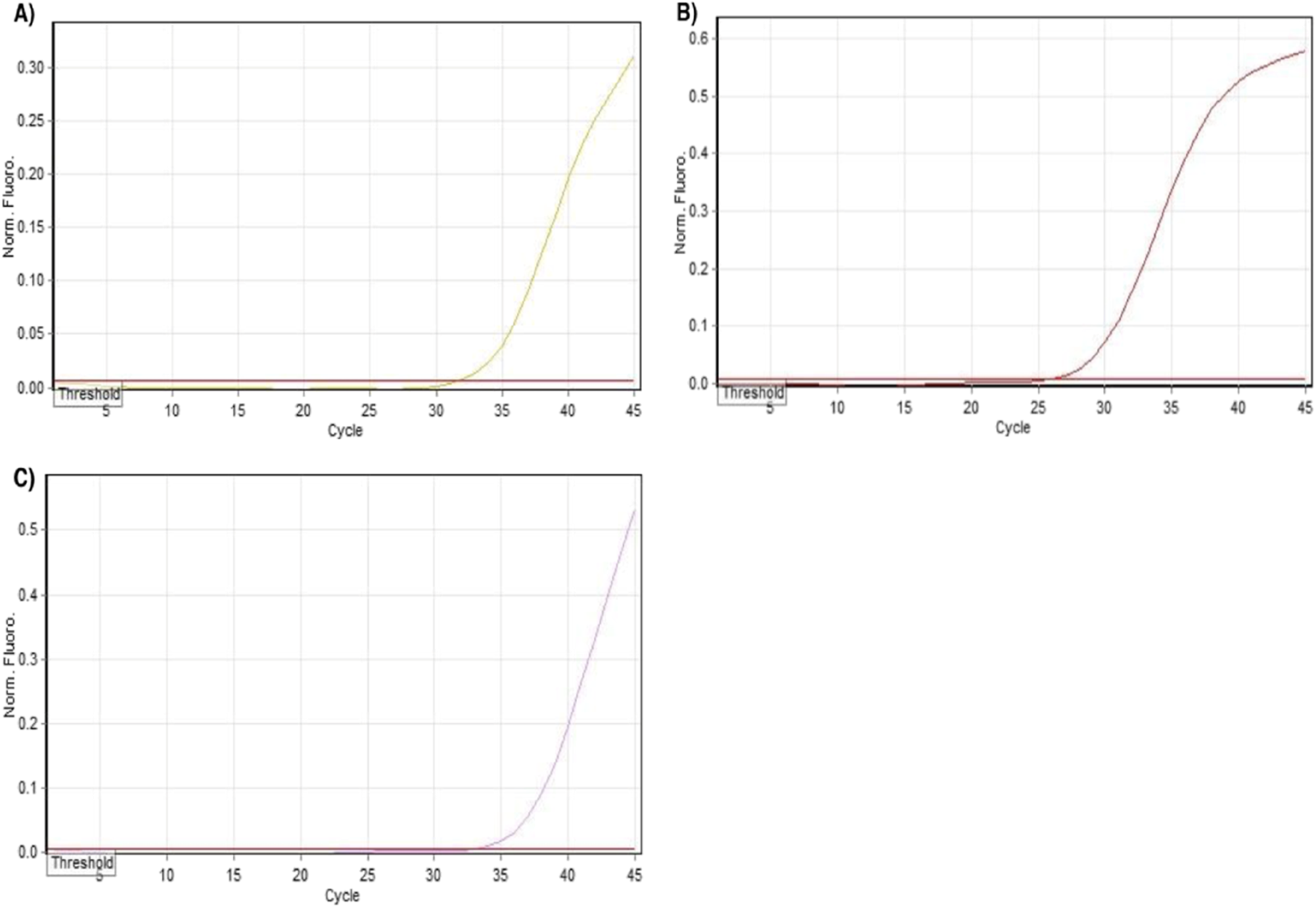 Association between single nucleotide polymorphisms of DNA repair genes (BRCA1, BRCA2, and PALB2) and breast cancer incidence in a subset of Iranian population