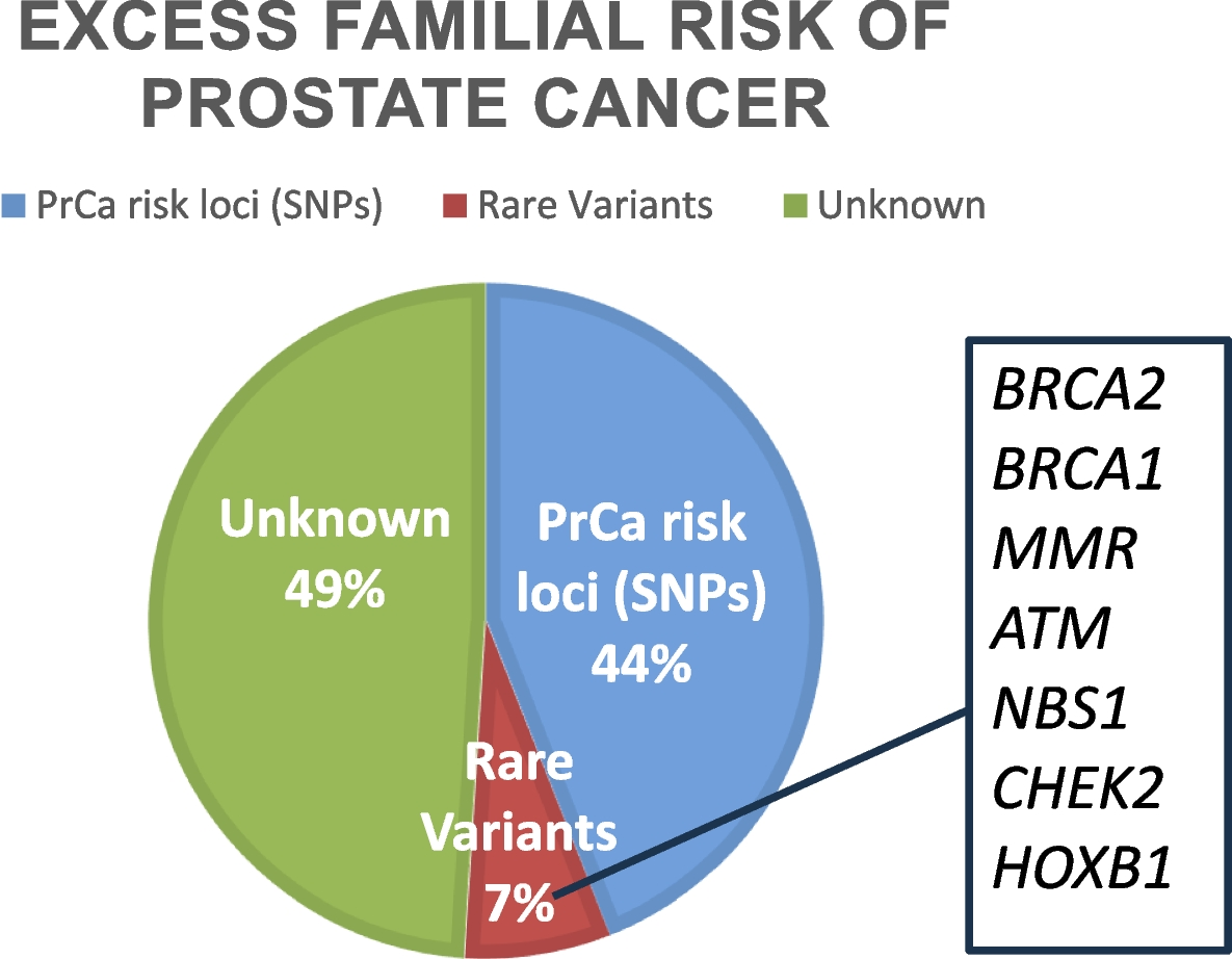 Prostate Cancer: genetics in practice now and in the future