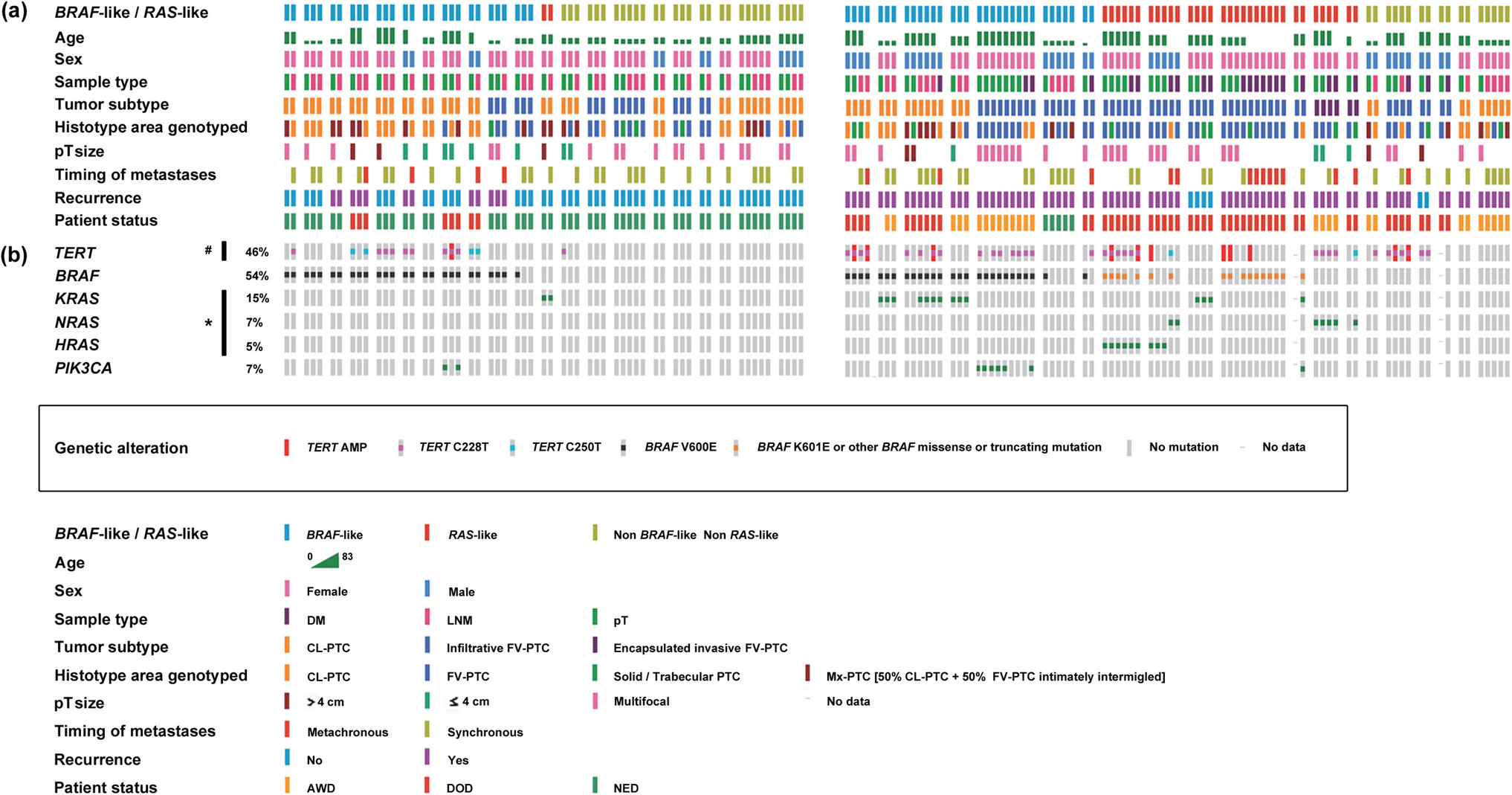 Amplification a Risk Stratification Marker in Papillary Thyroid Carcinoma, Significantly Correlated with Tumor Recurrence and Survival