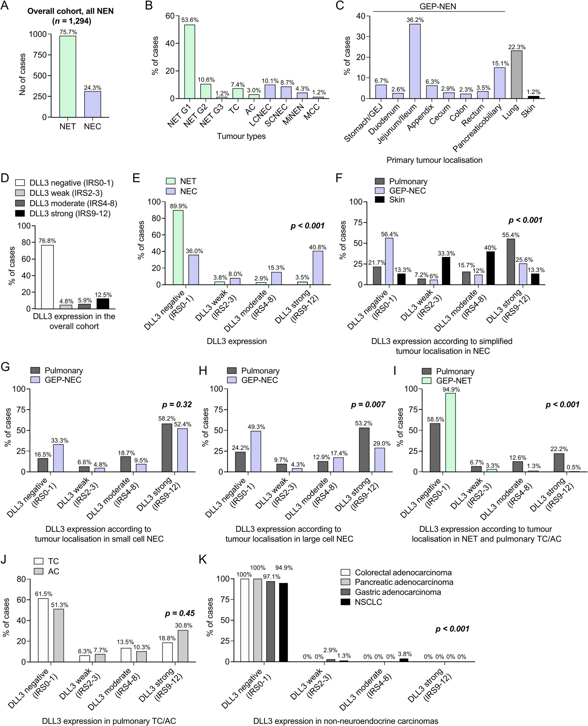 DLL3 Expression in Neuroendocrine Carcinomas and Neuroendocrine Tumours: Insights From a Multicentric Cohort of 1294 Pulmonary and Extrapulmonary Neuroendocrine Neoplasms