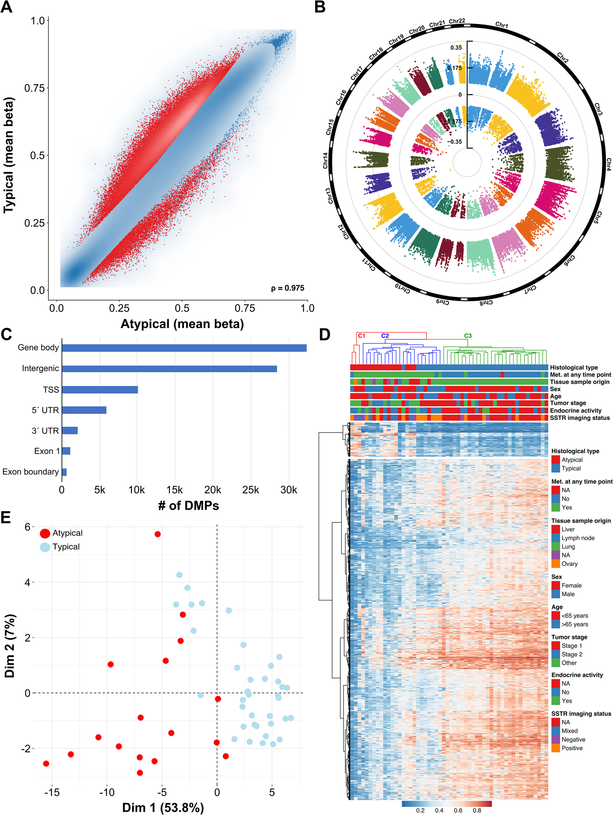 Methylation Profiles Differ According to Clinical Characteristics in Well-Differentiated Neuroendocrine Tumors of the Lung