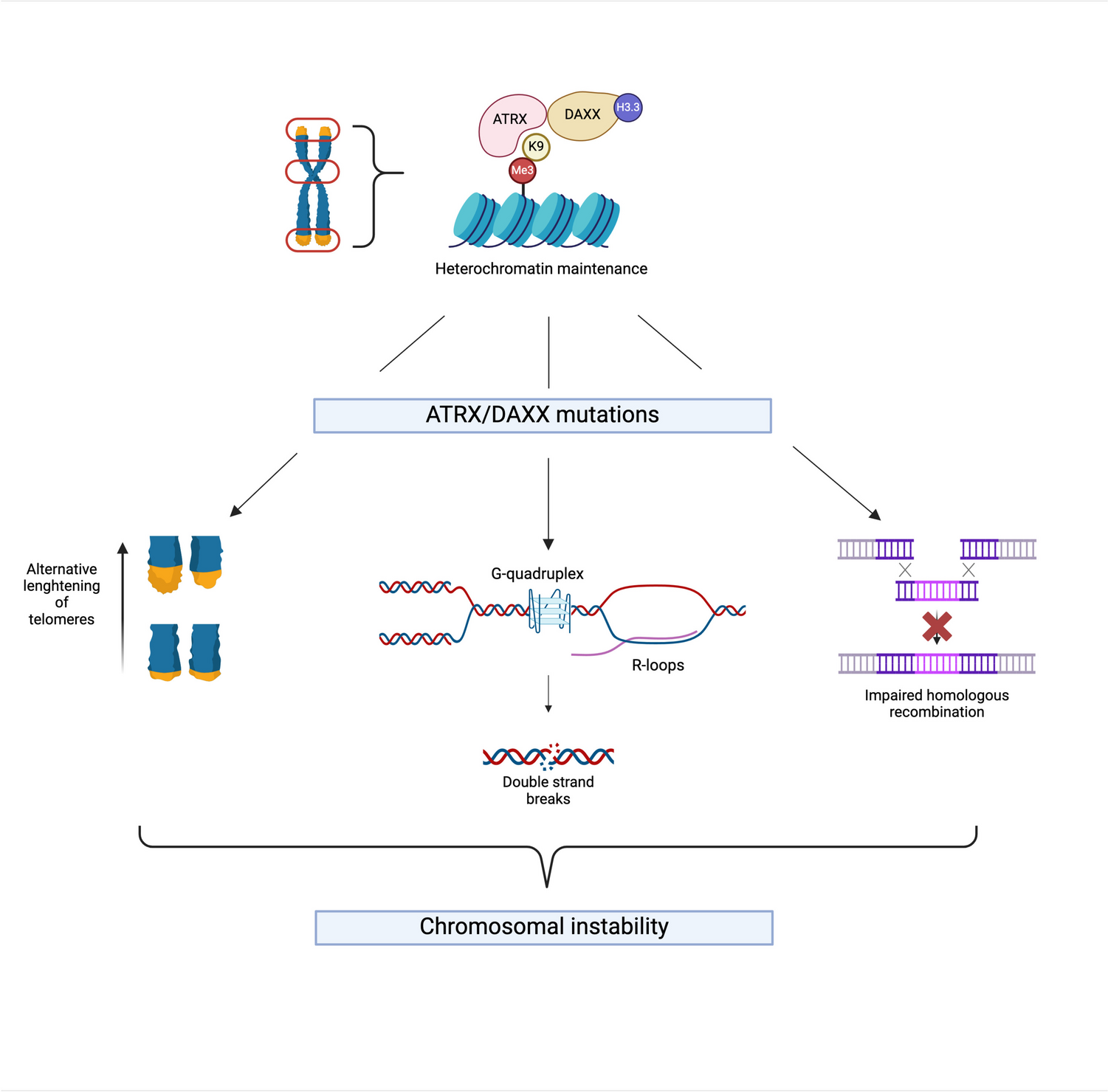 Clinical Relevance of  Gene Mutations and ALT in Functioning Pancreatic Neuroendocrine Tumors