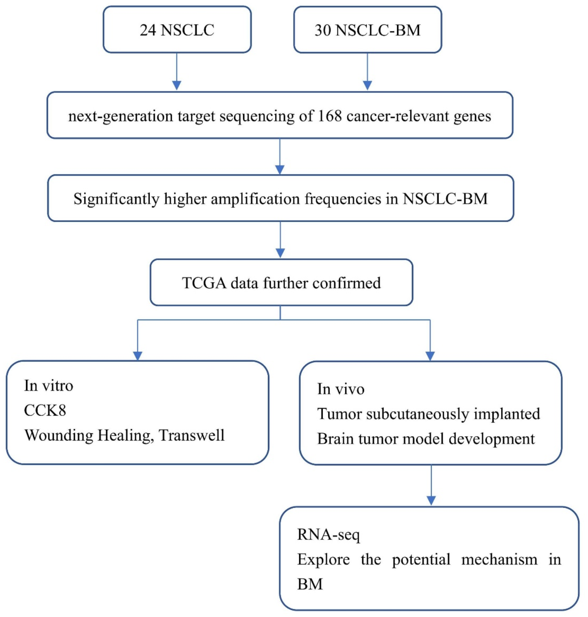 Negative Regulation of Cell Adhesion as a Driver of Brain Metastasis in NSCLC Patients with EGFR Amplification