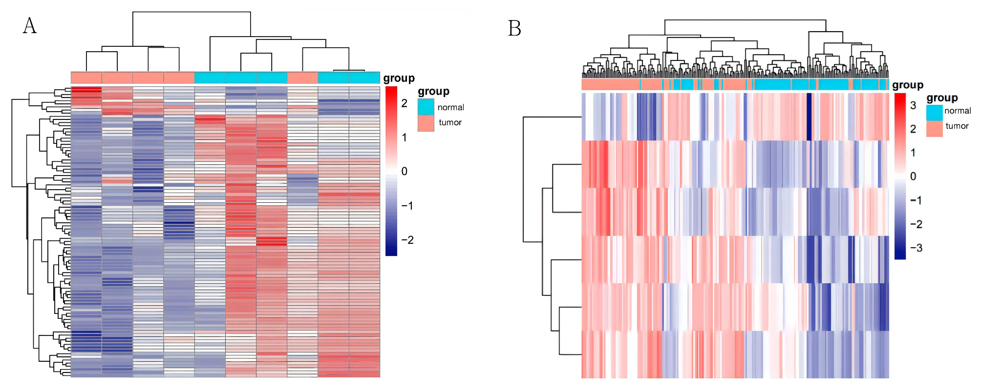 Construction of a circRNA-miRNA-mRNA Regulatory Network for the Immune Regulation of Lung Adenocarcinoma