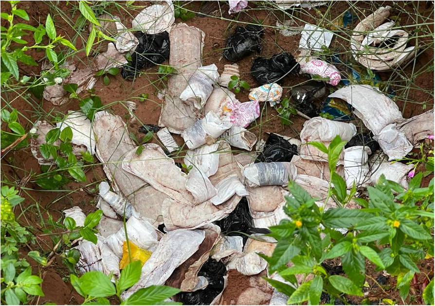 Menstrual blood and ritual beliefs: a qualitative study on menstrual health and hygiene practices among senior high school girls in Volta Region, Ghana