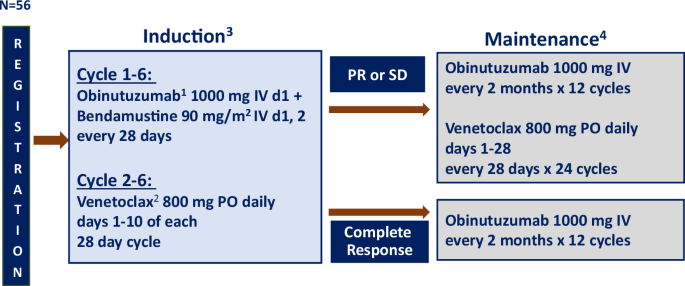 Phase II study of venetoclax added to bendamustine and obinutuzumab in patients with high-risk follicular lymphoma as front-line therapy: PrE0403