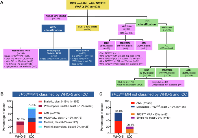 Validation of the 5th edition of the World Health Organization and International Consensus Classification guidelines for TP53-mutated myeloid neoplasm in an independent international cohort