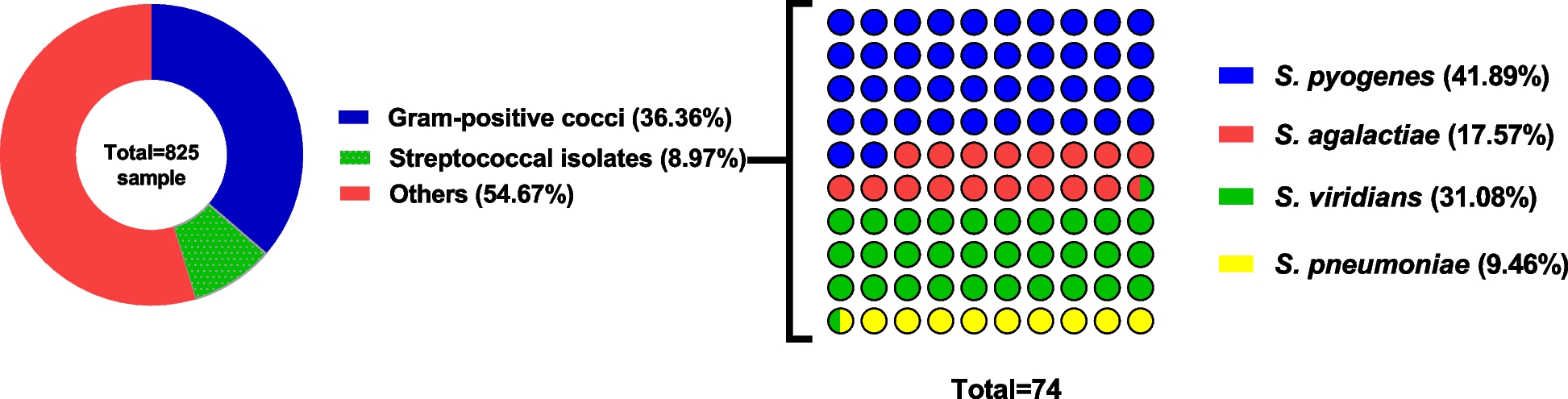 Phenotypic and genotypic characteristics of macrolide, lacosamide, and streptogramin resistance in clinically resistant Streptococci and their correlation with reduced biocide susceptibility