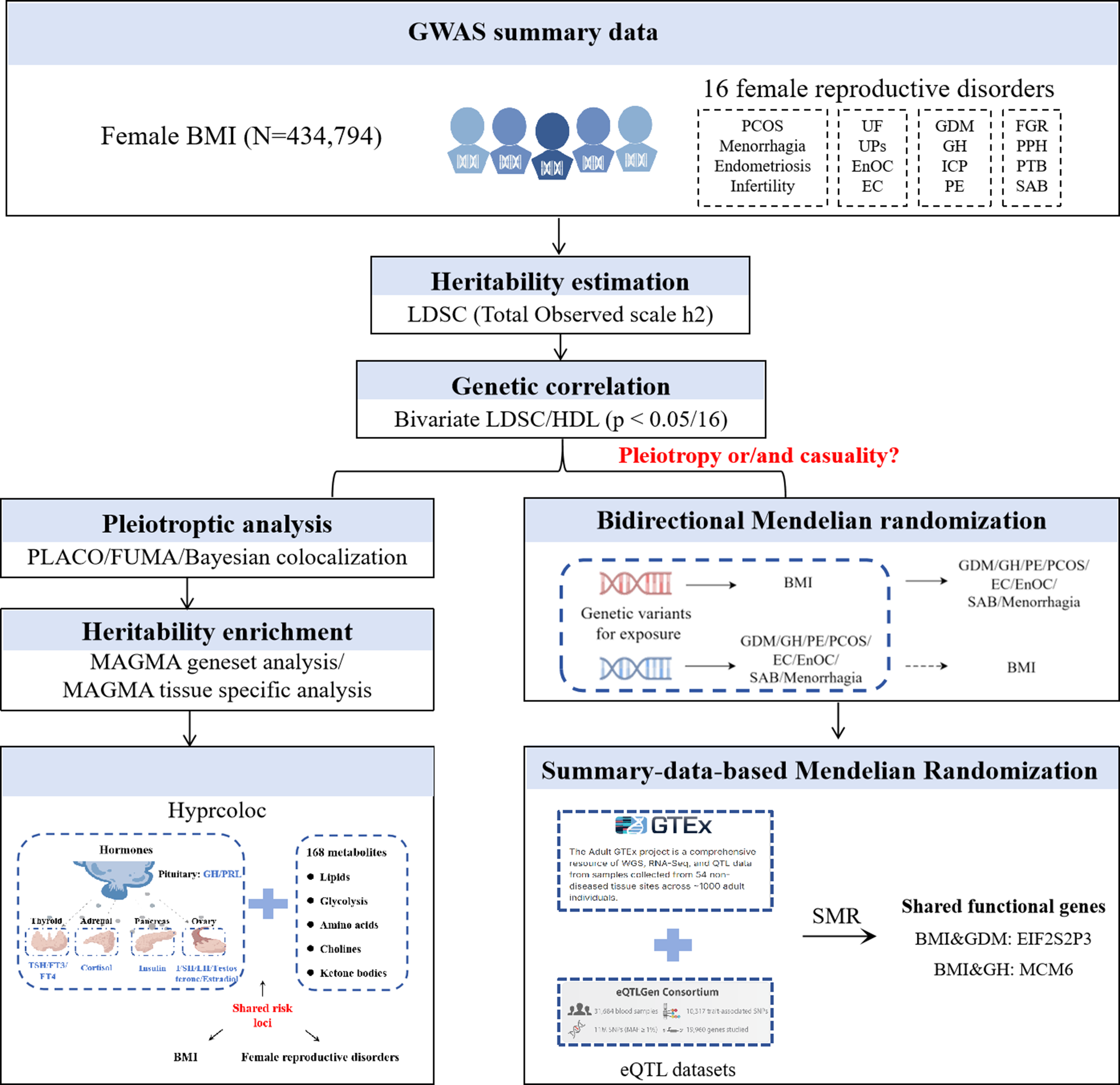 Dissecting the genetic determinants and biological associations between body mass index and female reproductive disorders based on genome-wide association study